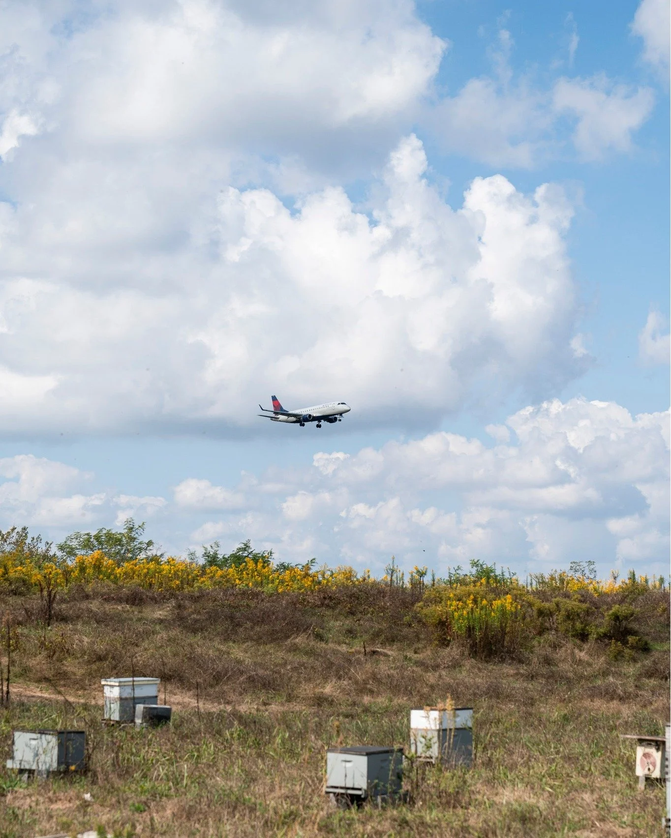 It&rsquo;s official &mdash; the new @pitairport terminal opens November 18th! 🐝✈️
While travelers get ready for takeoff, thousands of bees are settling in for winter across the airport&rsquo;s 6,000 acres.

PIT is home to more than 150 honeybee colo
