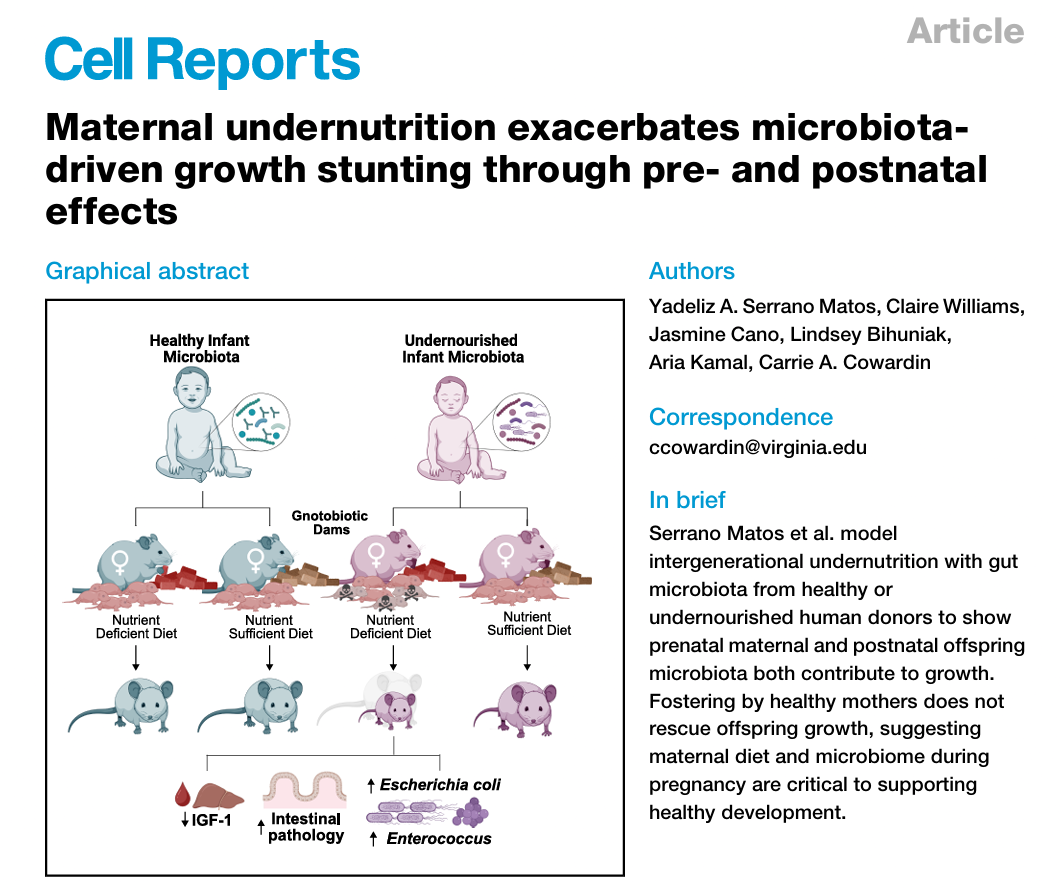 Check out our most recent paper in Cell Reports describing the role of the maternal gut microbiome in the lab's murine model of childhood undernutrition.