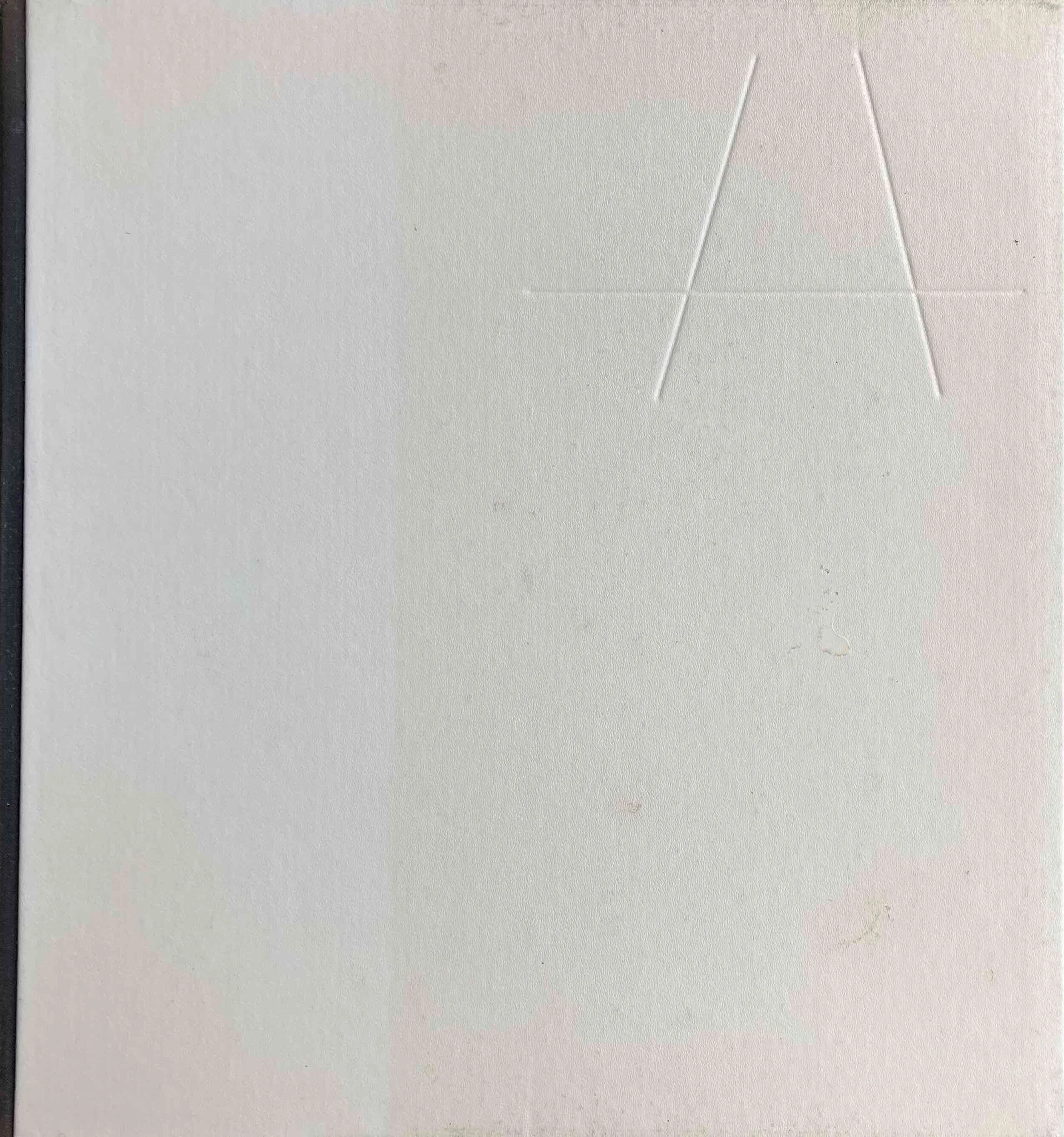 Josef Albers : Despite Straight Lines(洋書/英語)