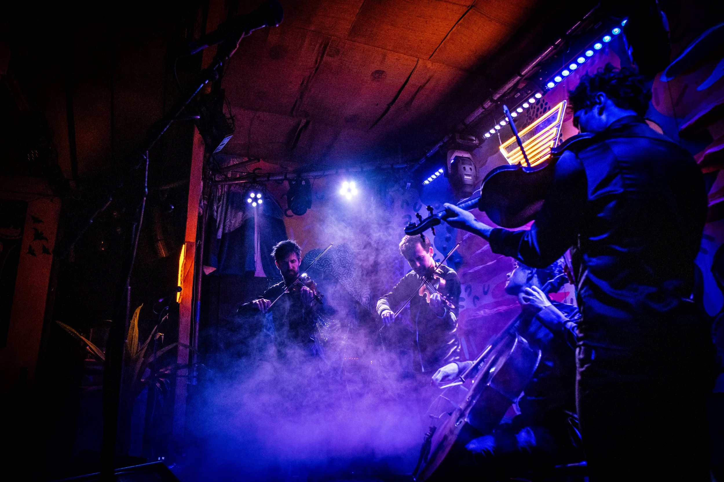 vision string quartet at noisenight99 (2024)