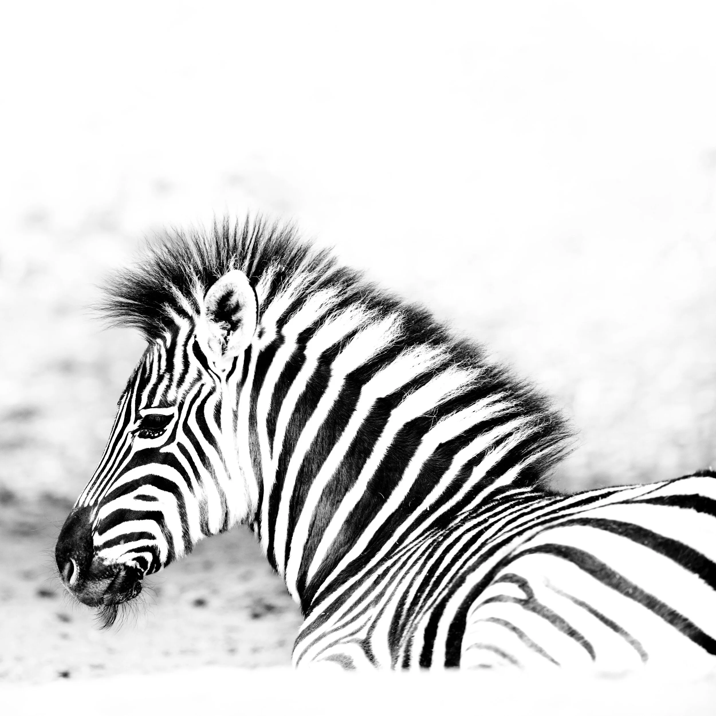 1. Can you be highly intelligent and not even know it?