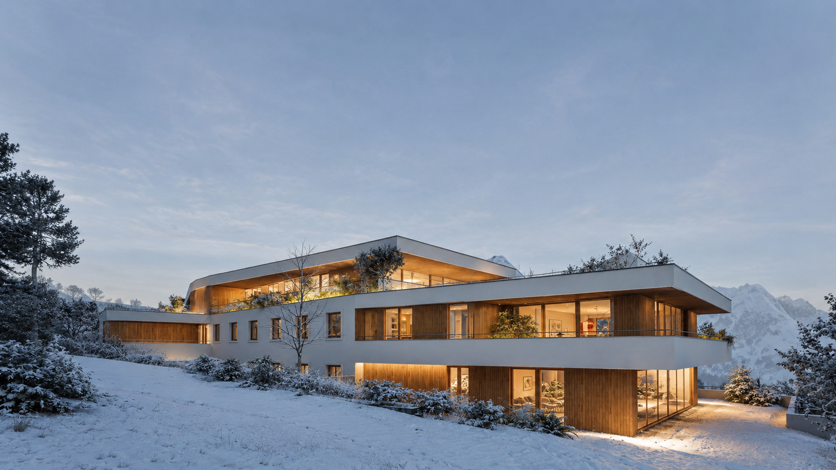 d5.png