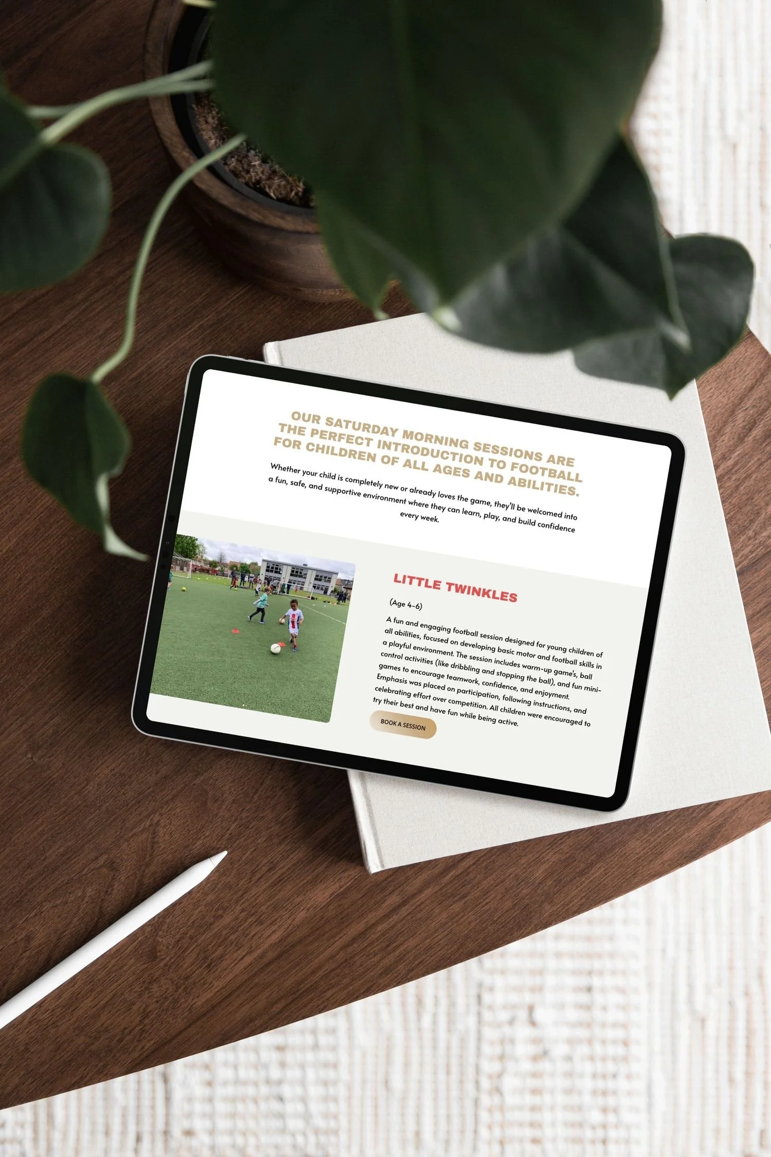 MSS 2 iPad Mockup-1.jpg