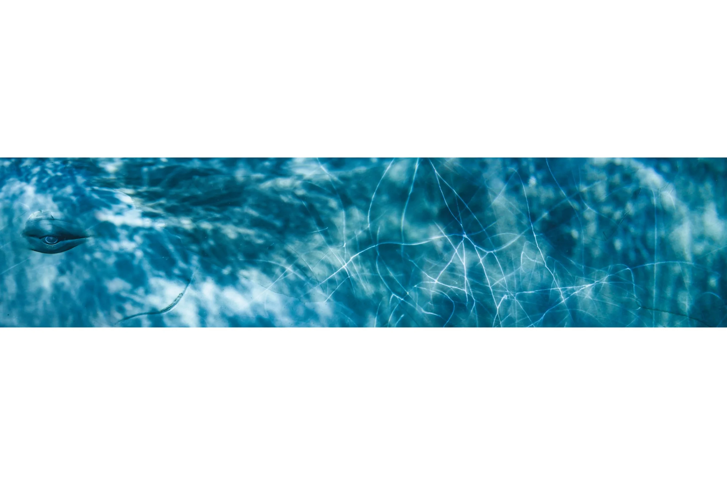 Untitled design (23).jpg