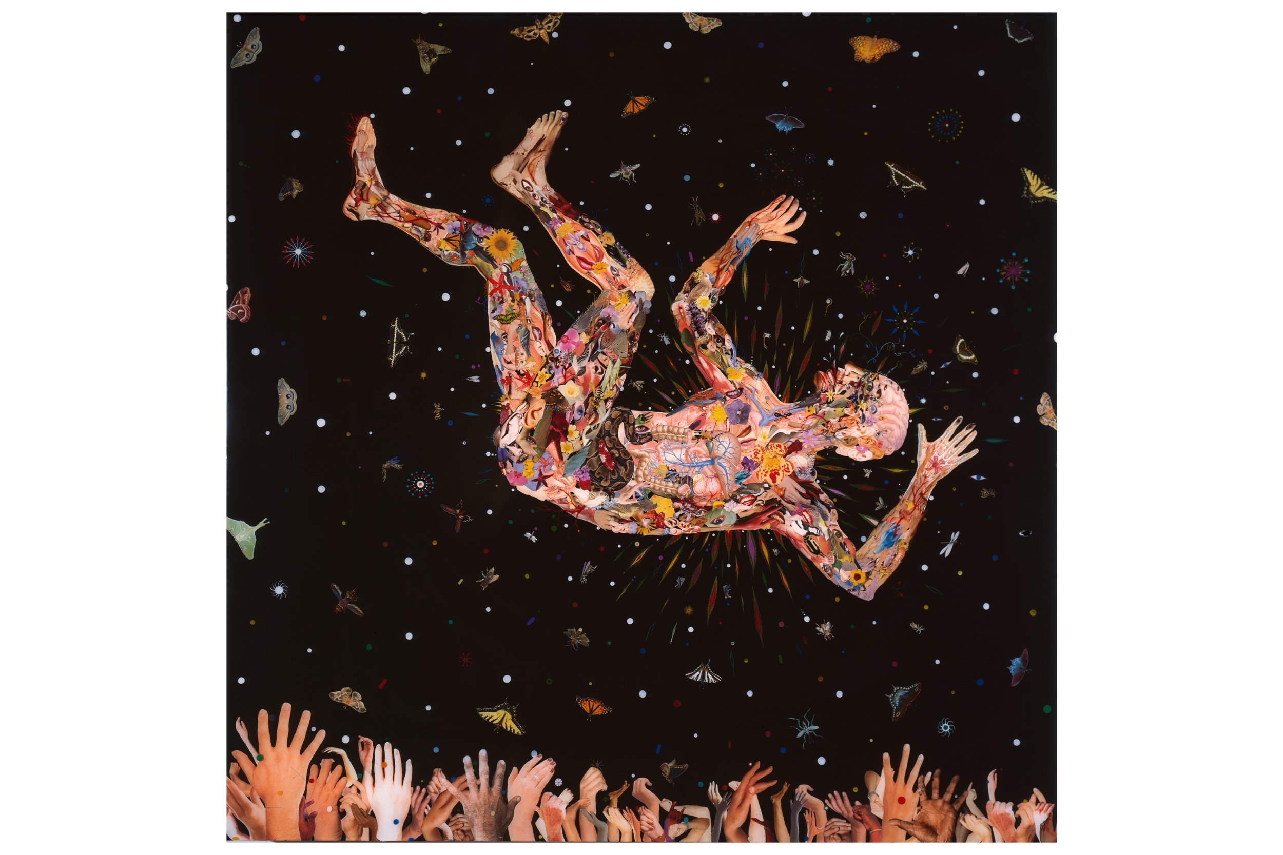 Untitled design (29).jpg