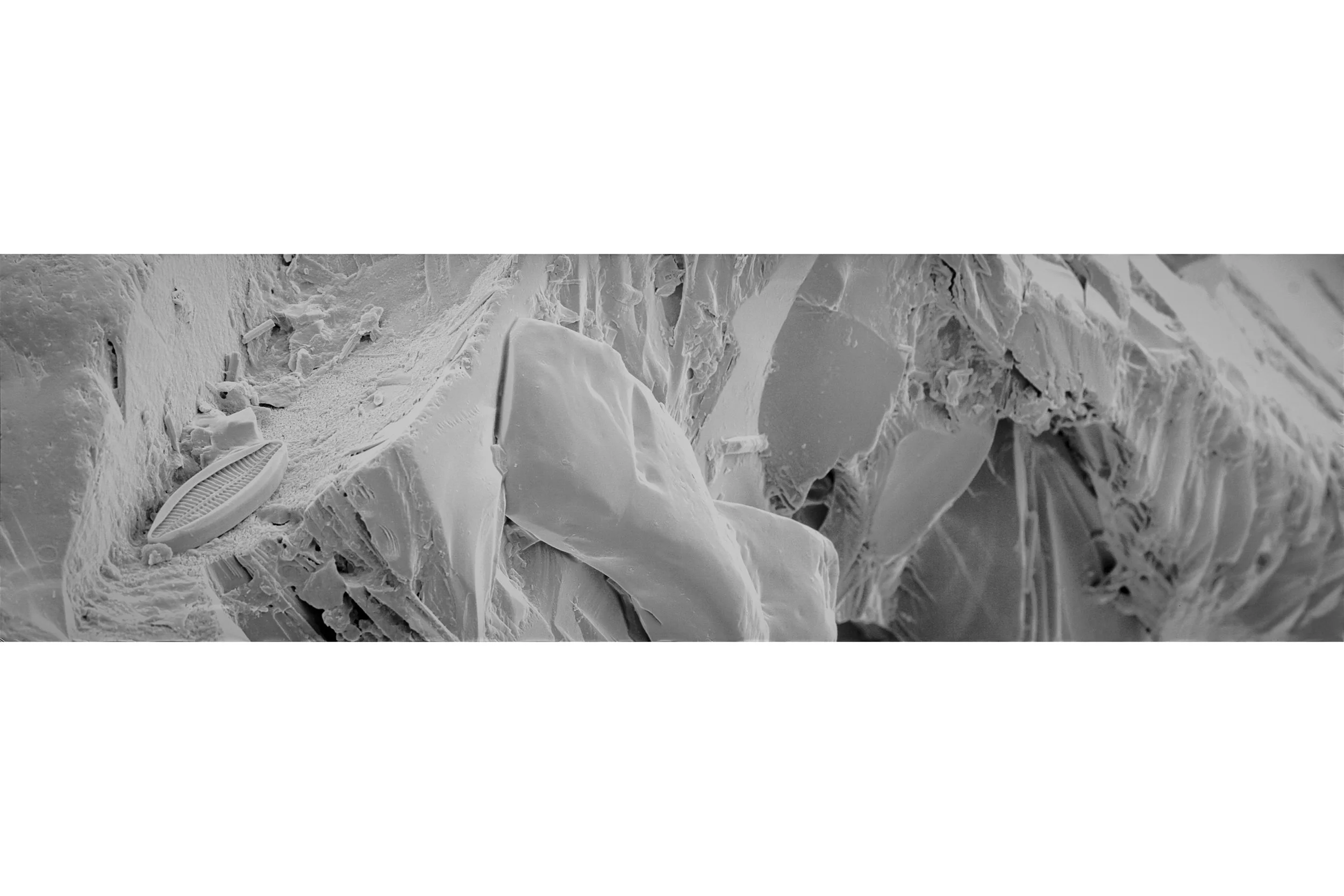 Untitled design (34).jpg