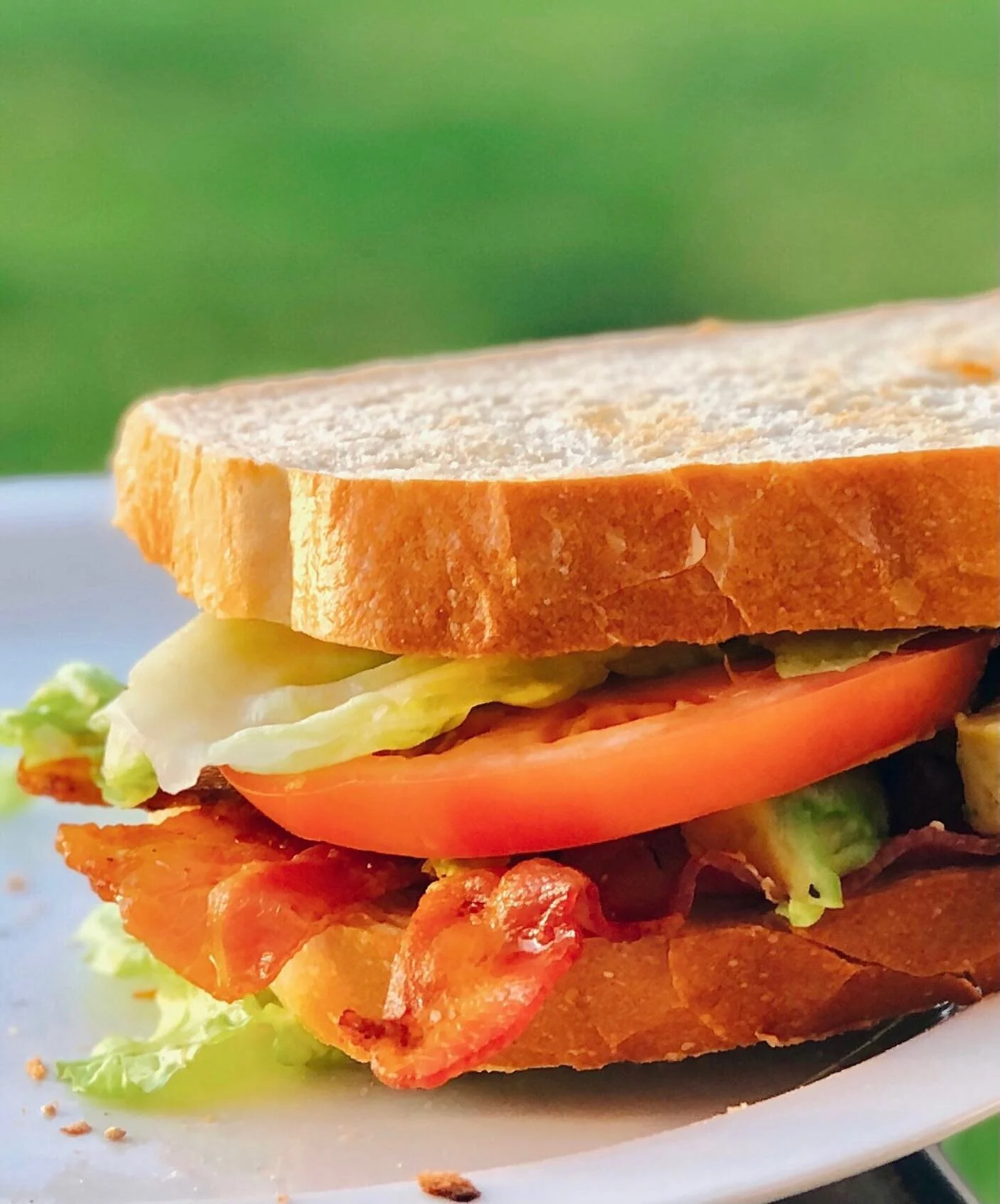 Avocado BLT Sandwich