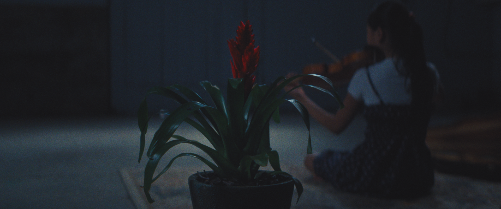 beast_still1.png