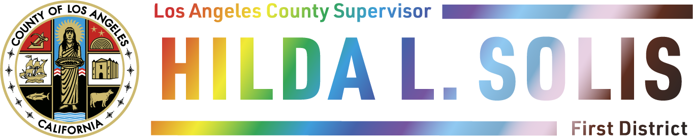 SD1_Logo2021_PRIDE_V1a2.png