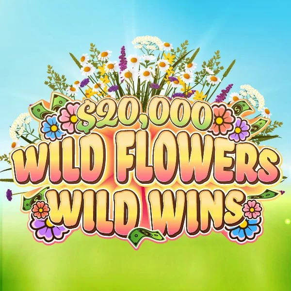 wildflowers webset-02.jpg