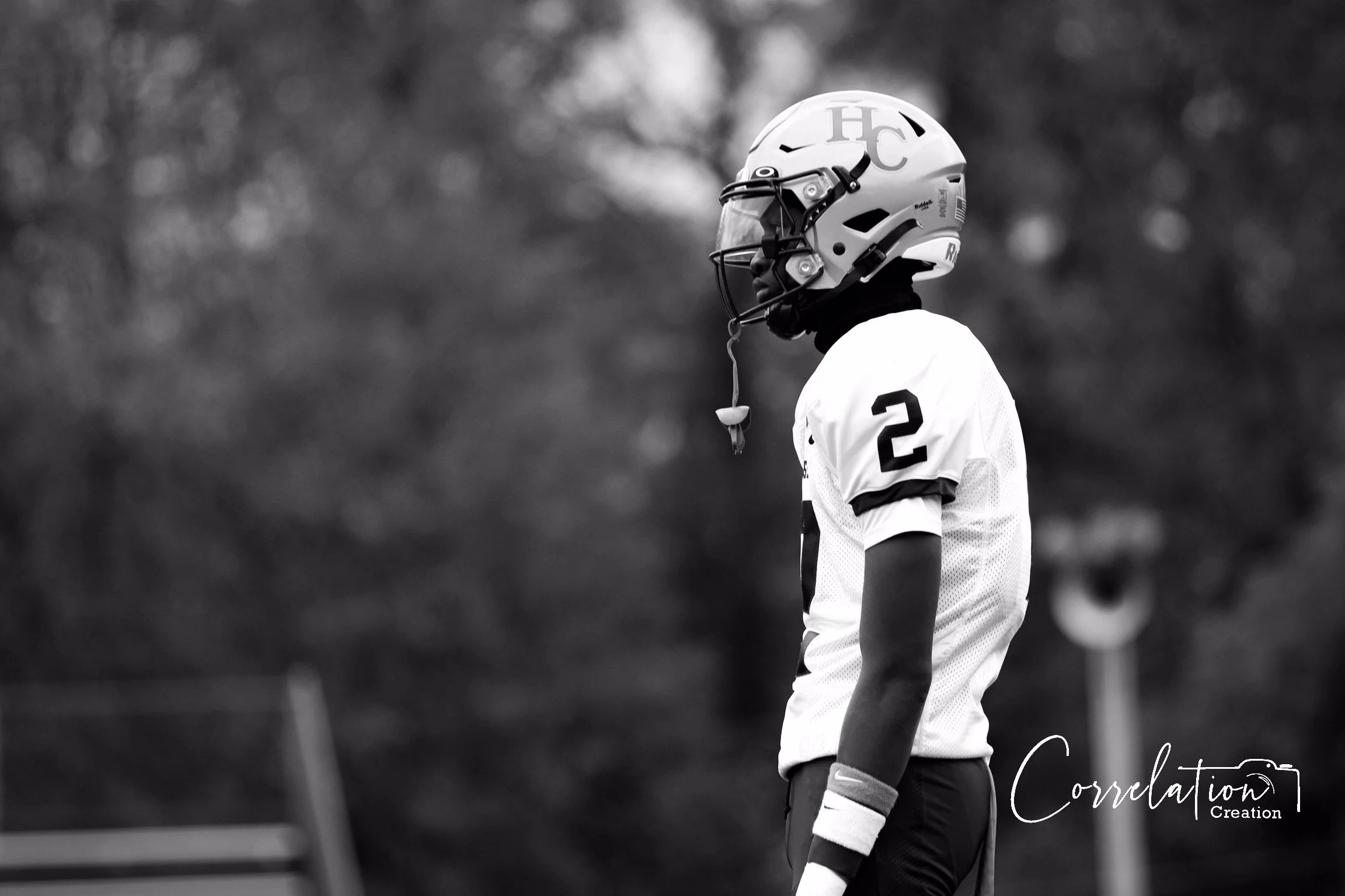 Untitled_Artwork 5.JPG