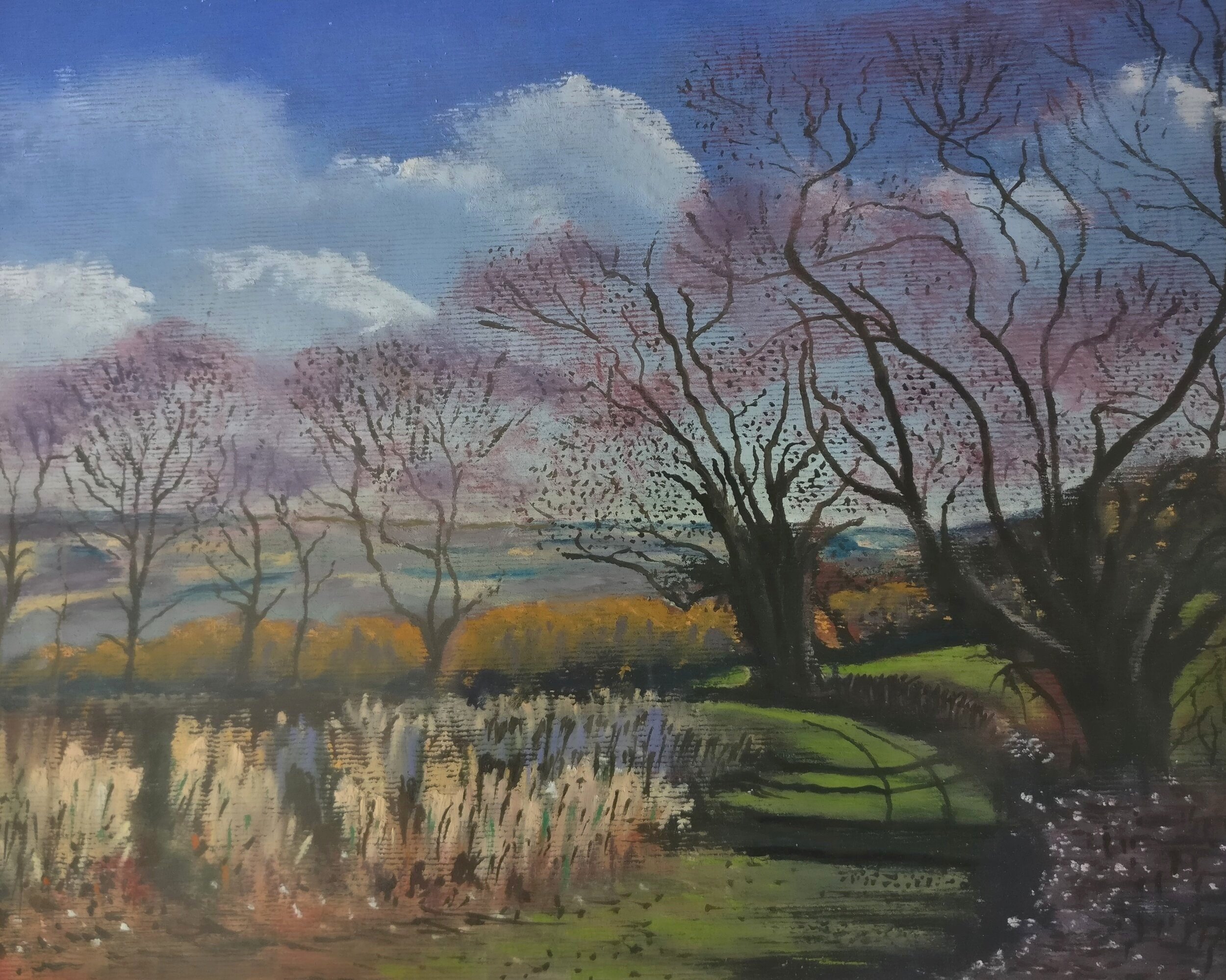 Winter Trees above Ford