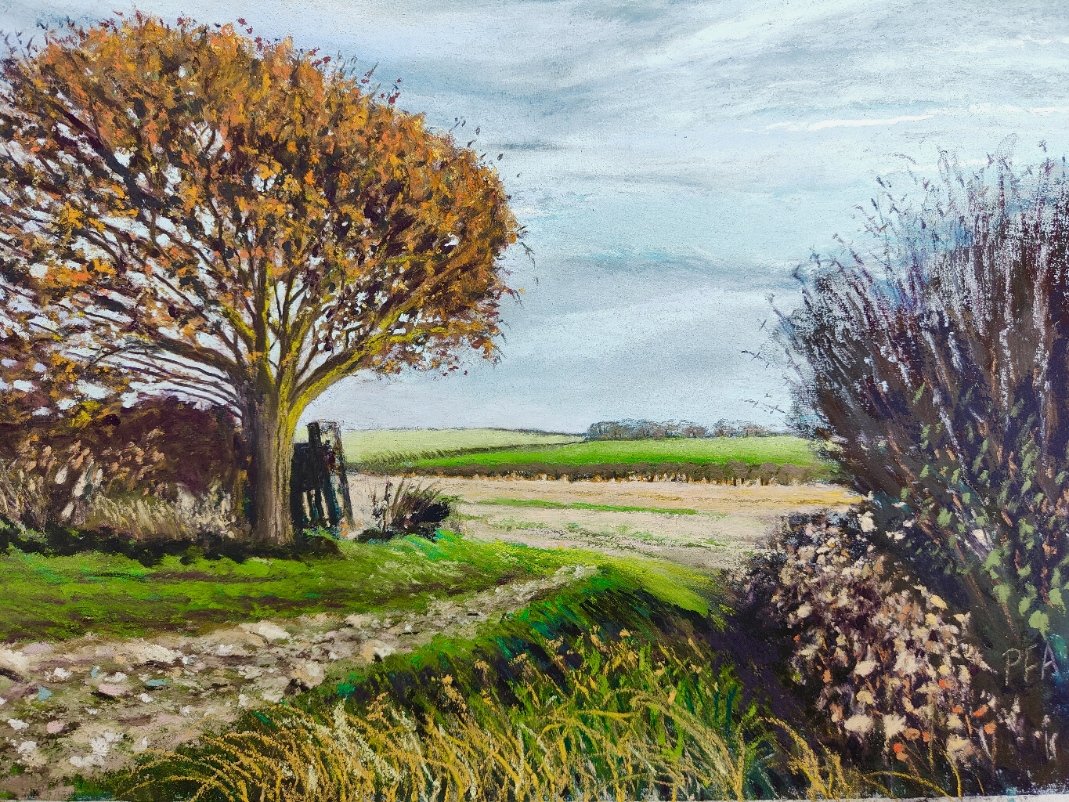 Middlehowe Road, Autumn. Soft pastels on Pastelmat, 12" x 9", £165 framed.