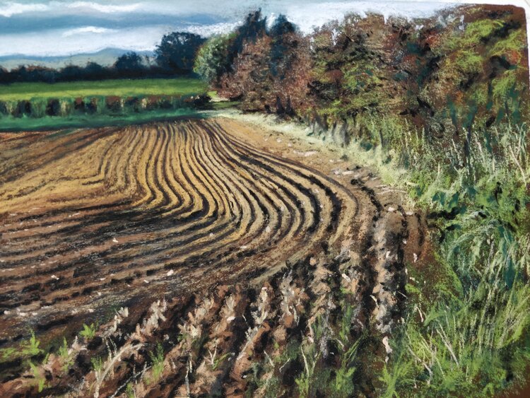 Ploughed Field near Houghton. Soft pastels on Art Spectrum card.