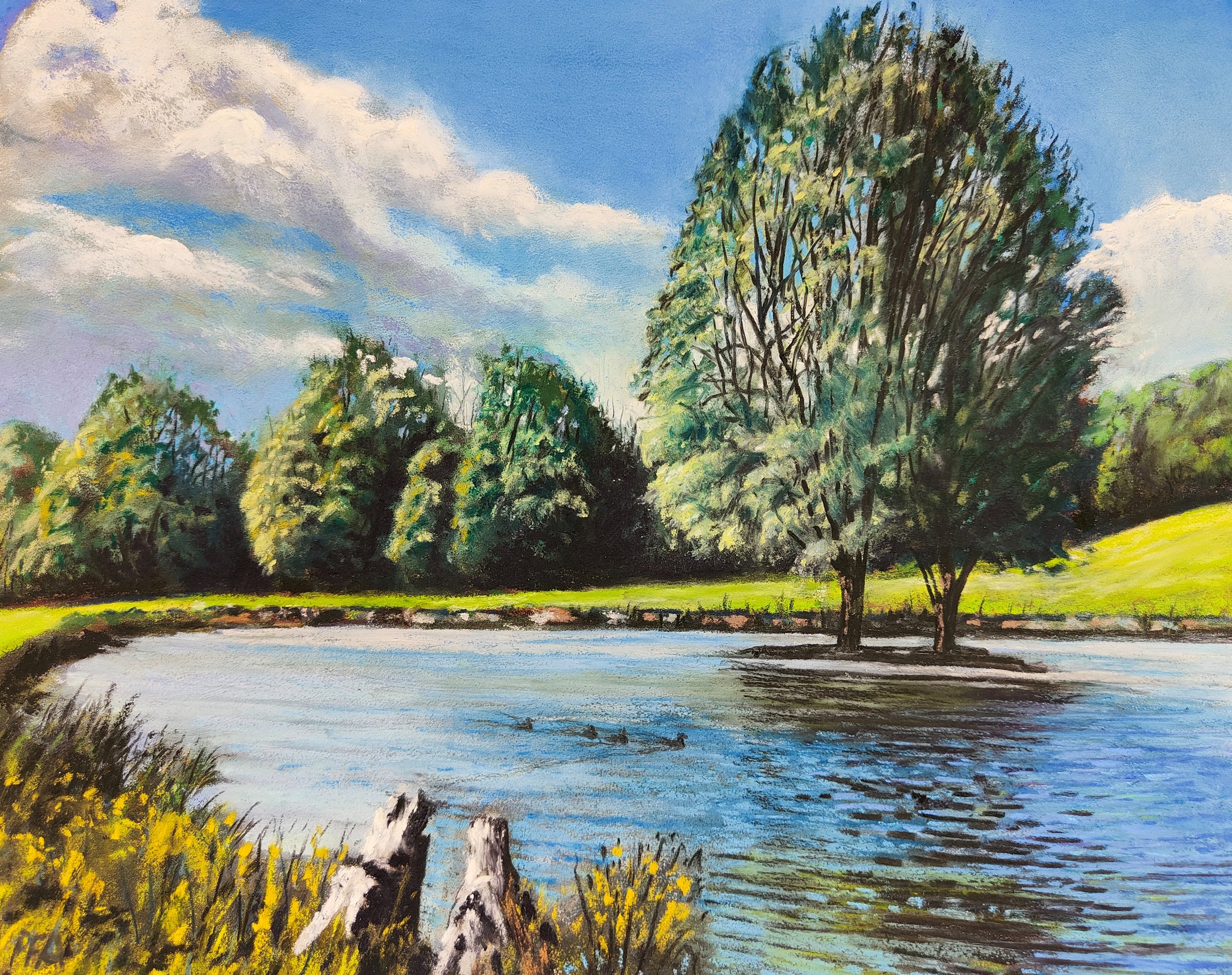 Upper Feeder Pond, Raby Castle, Durham