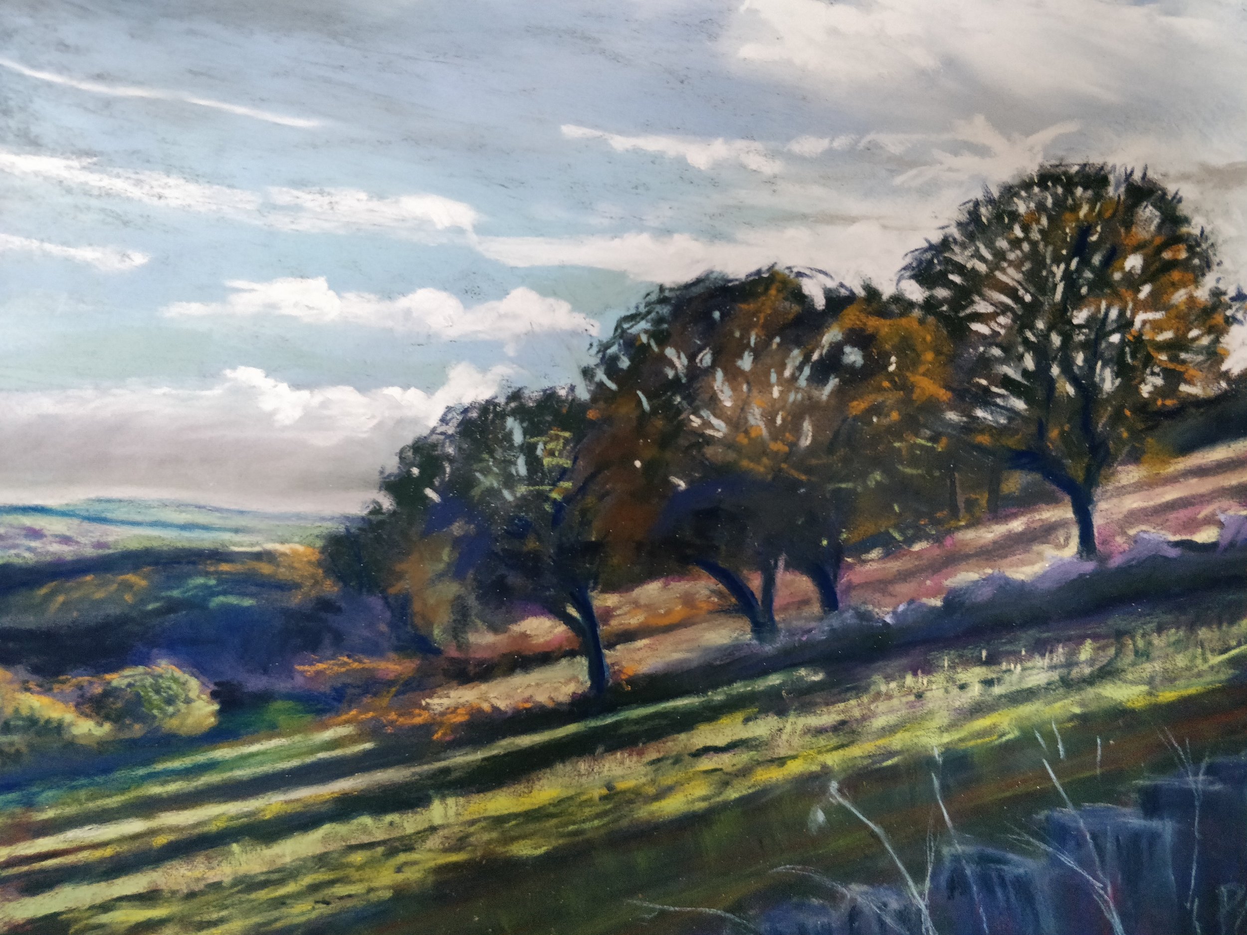 Above Ford, Derbyshire Hillside