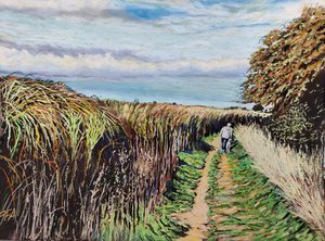 Tim walking Coco, Ellerker
