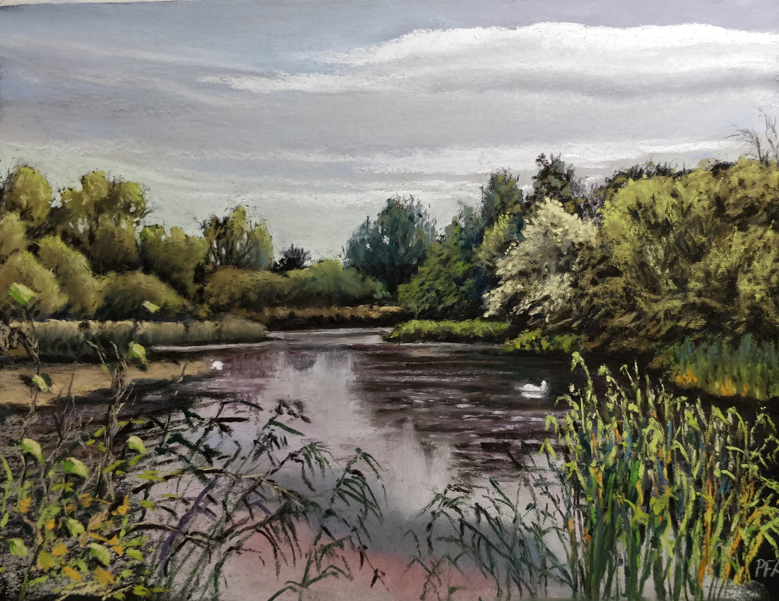 Barton Wetlands. Soft pastels on Art Spectrum card, 12" X 9".
