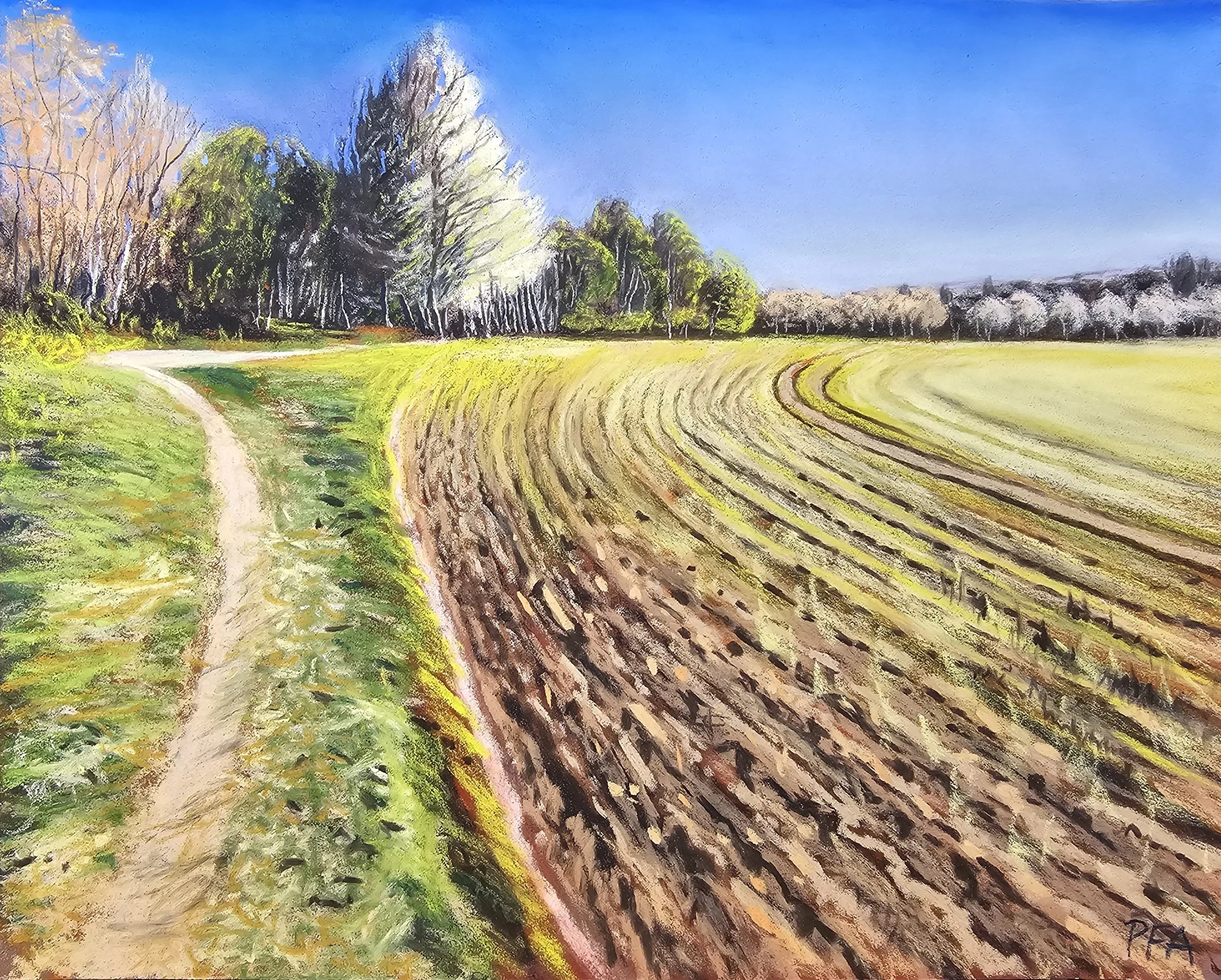 Ellerker Spring. Soft pastels on Pastelmat, 12" x 9", £165 framed.