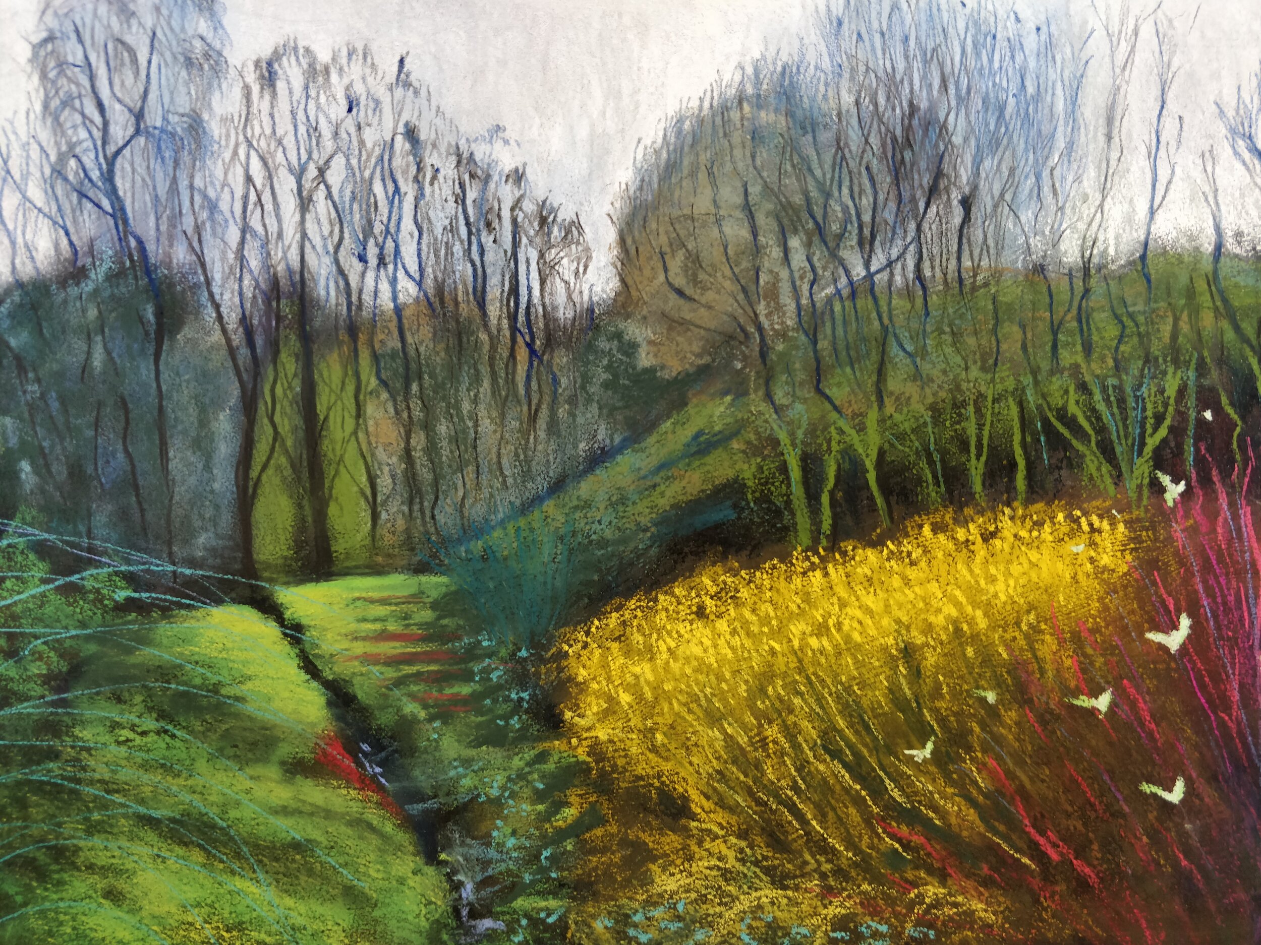Barlborough Grasses, N Derbyshire