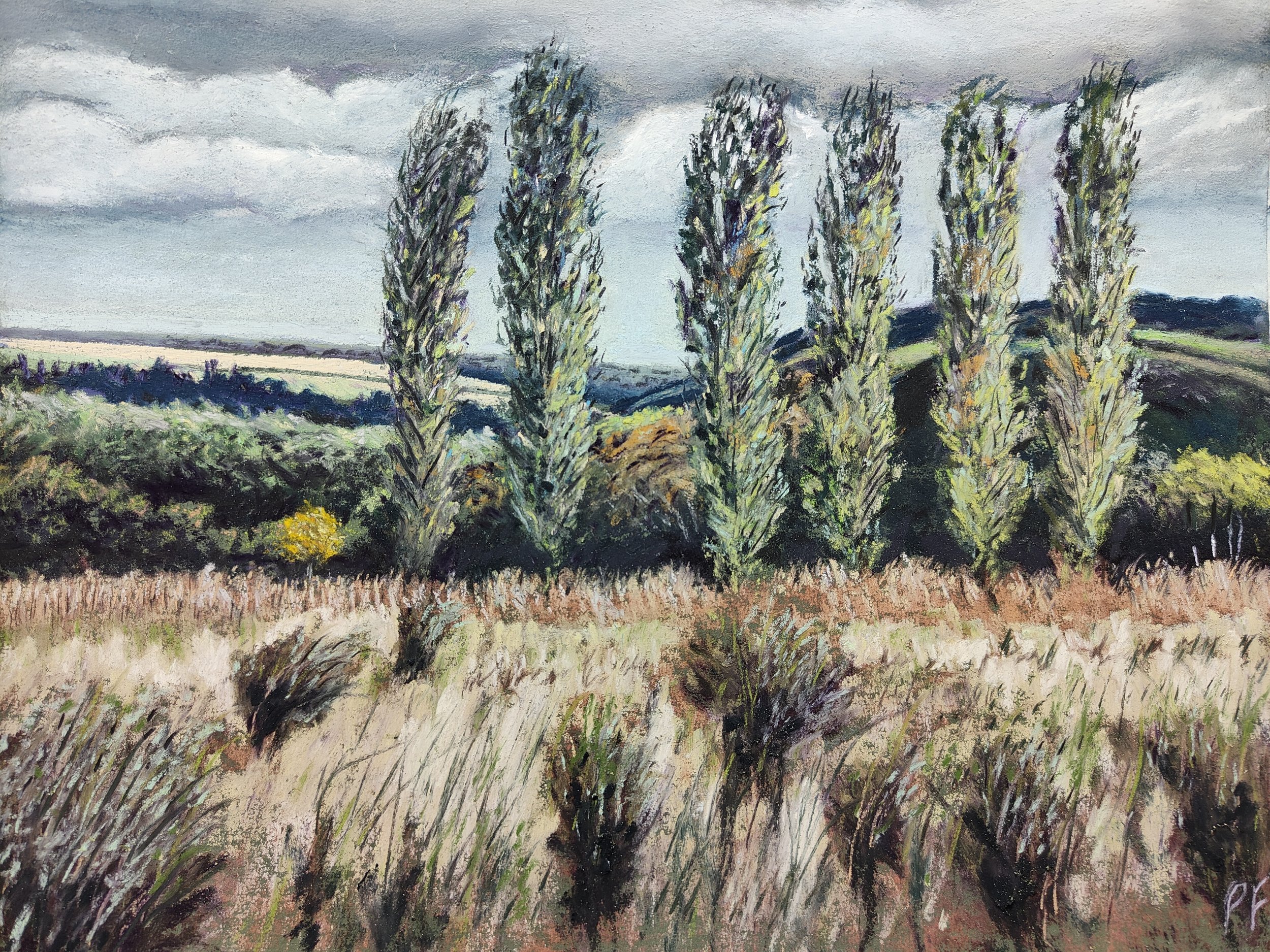 By Common Lane #2