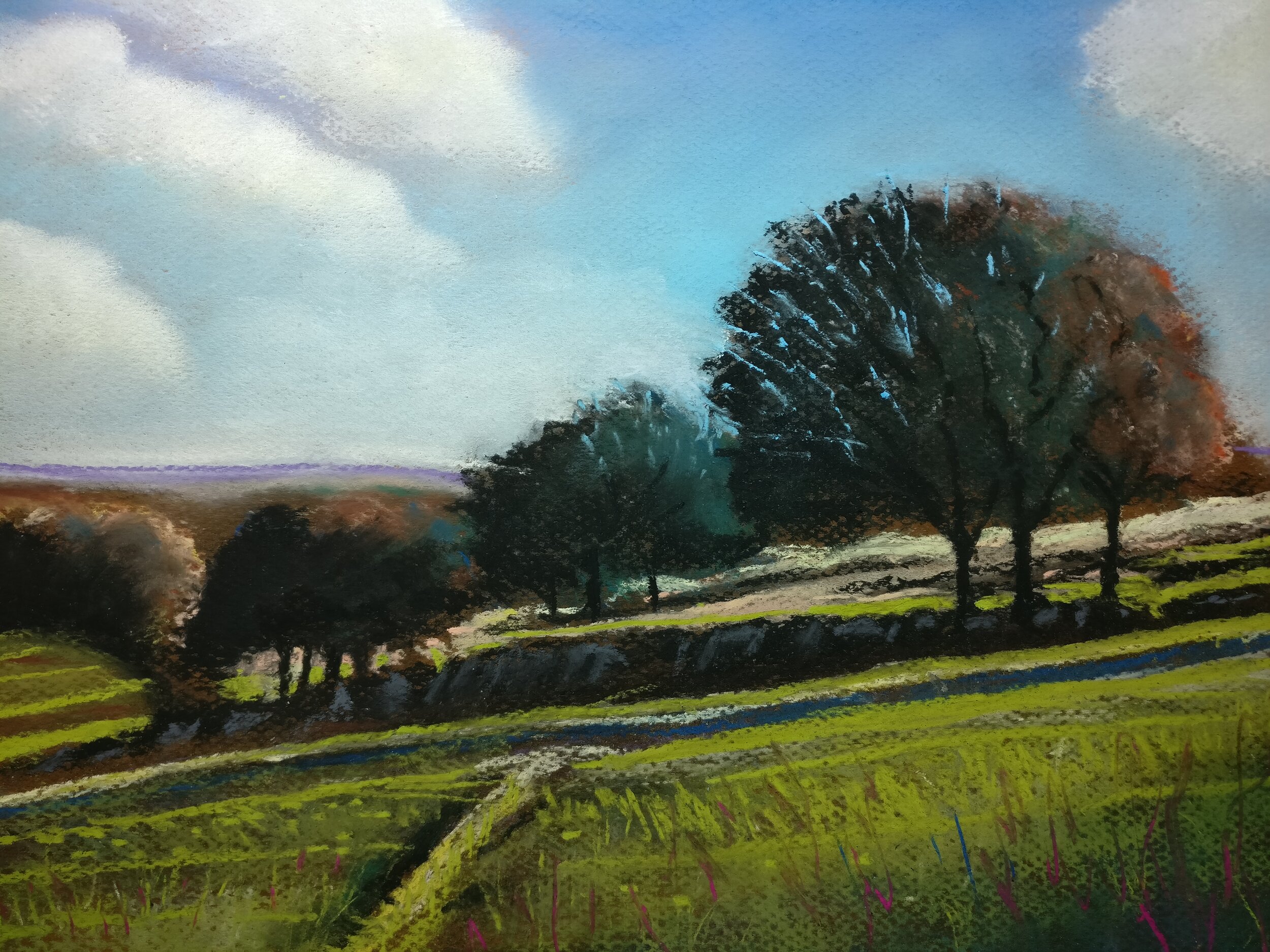 Derbyshire Hillside