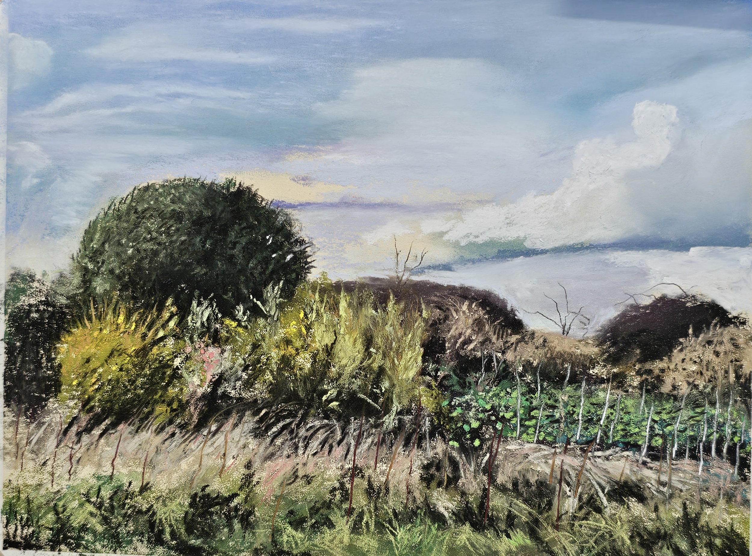 By the Humber near Brough. Soft pastels on Pastelmat, 12" x 9", £165 framed.
