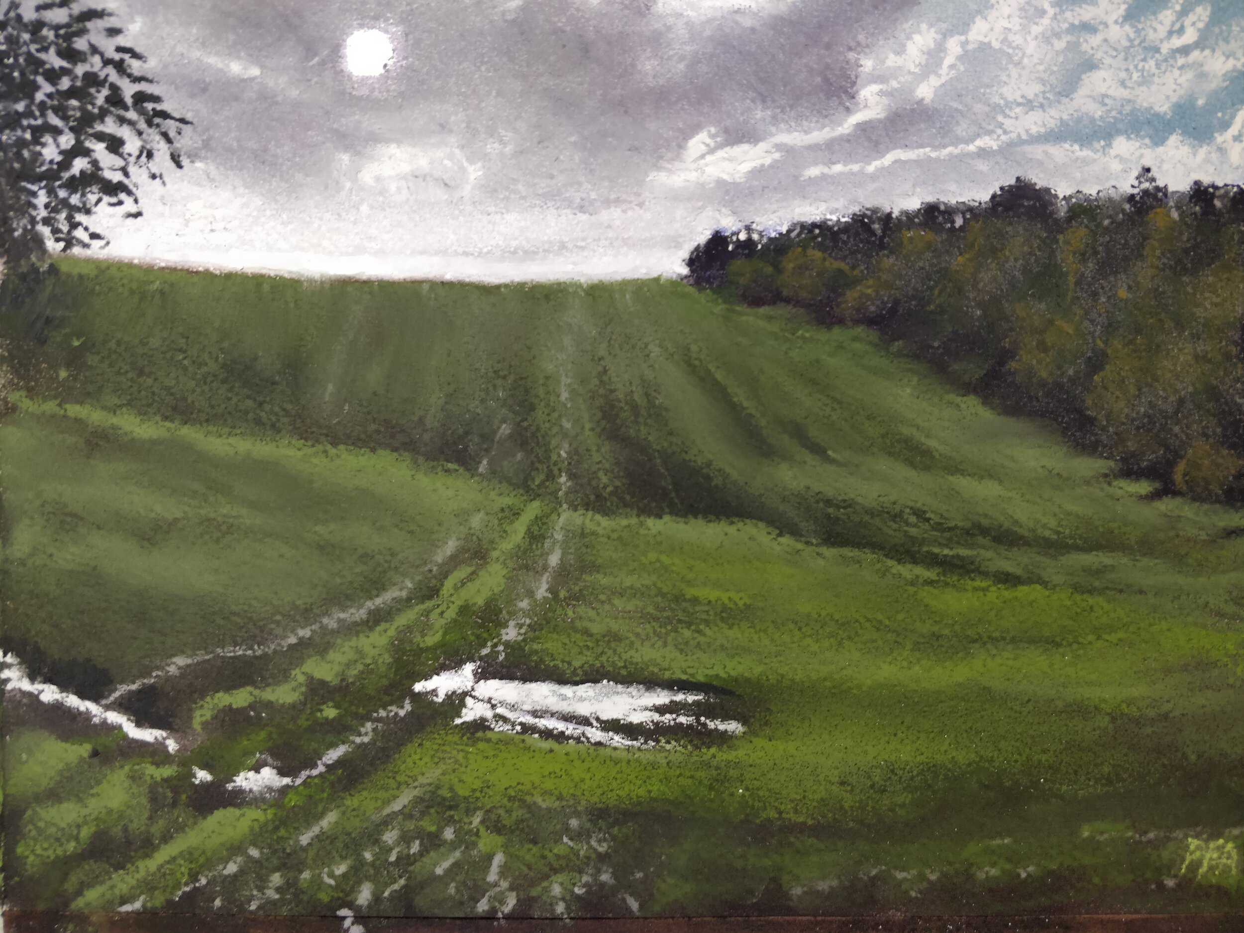 Nut Wood, Raywell