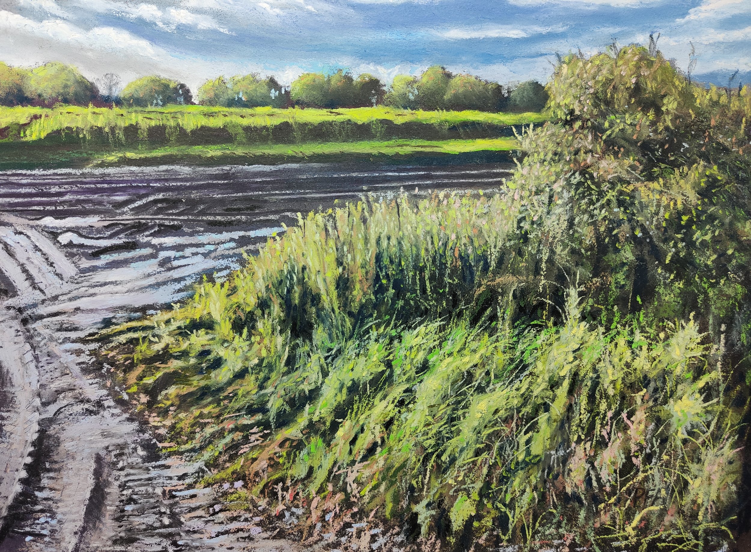 Ploughed field near Houghton after rain