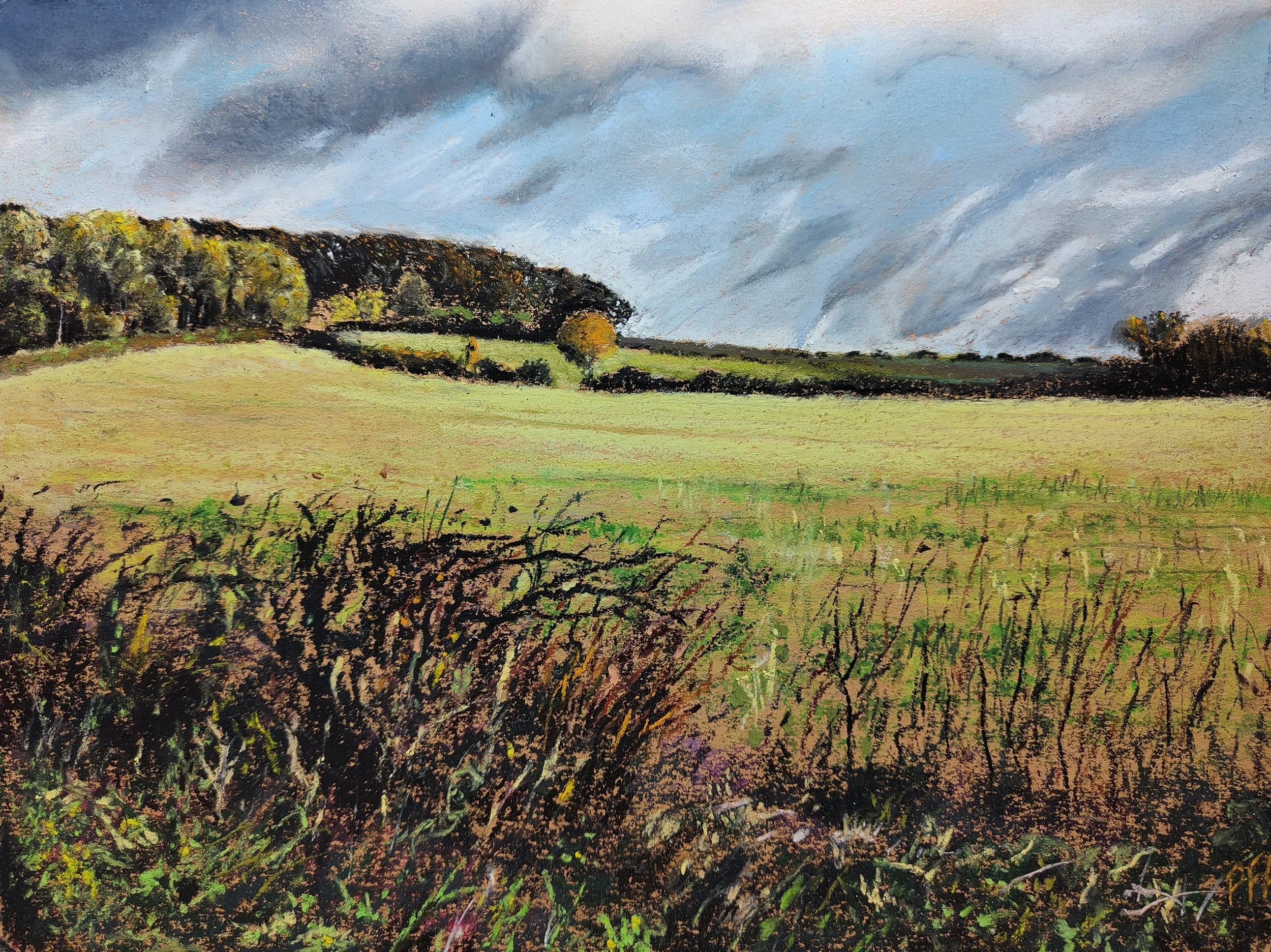 Little Wold, South Cave. Soft pastels on Pastelmat.