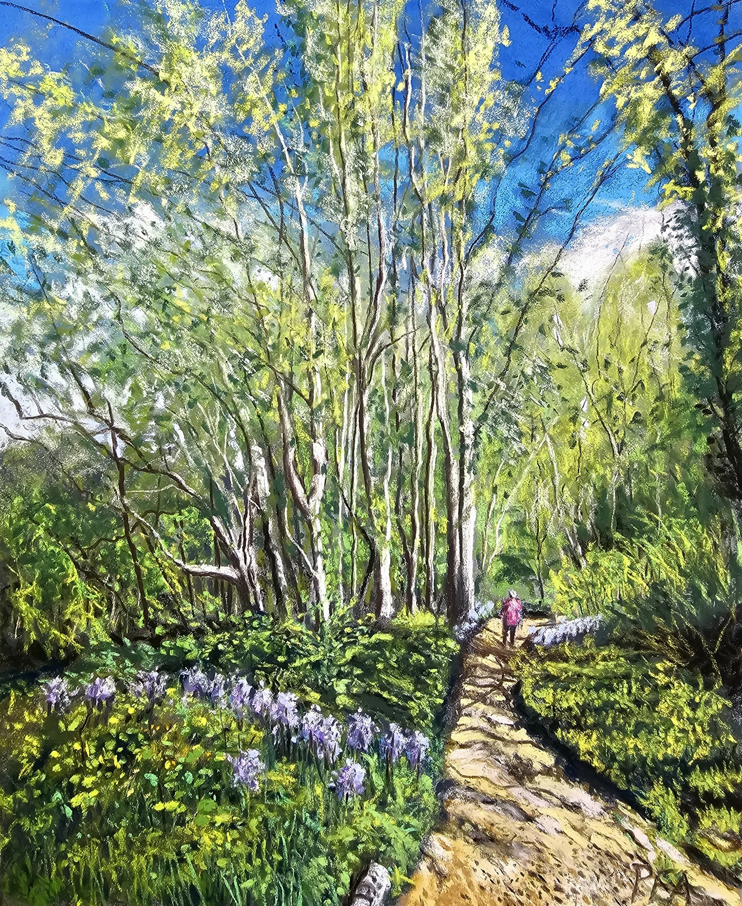 Spindlewood bluebells. Soft pastels on Pastelmat, 12" x 9", £165 framed.