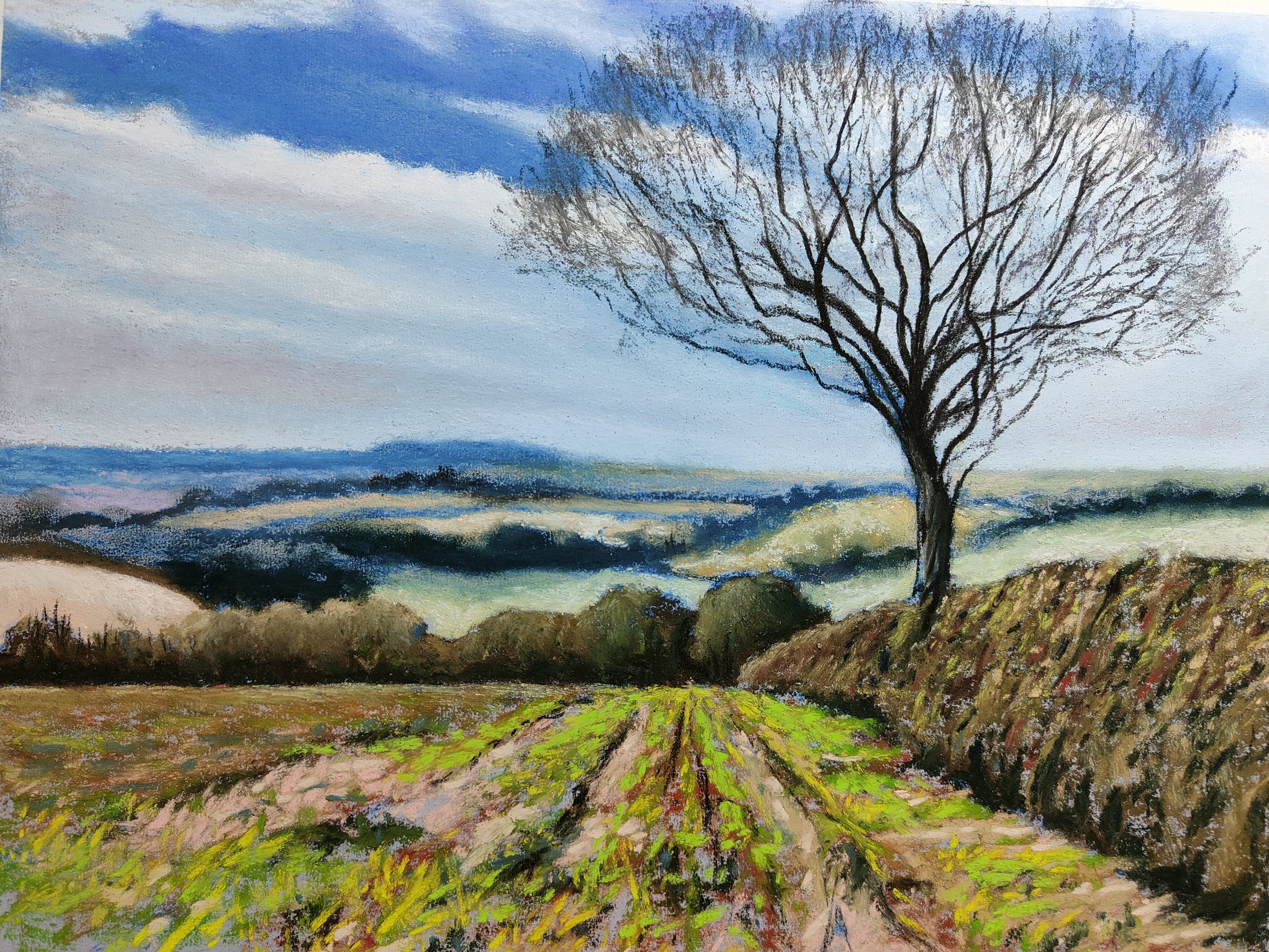 Wolds View above South Cave