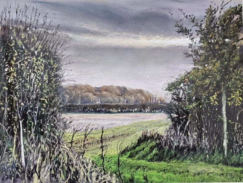 Middlehowe Road, Walkington, Autumn. Soft pastels on Pastelmat, 12" x 9", £165 framed.