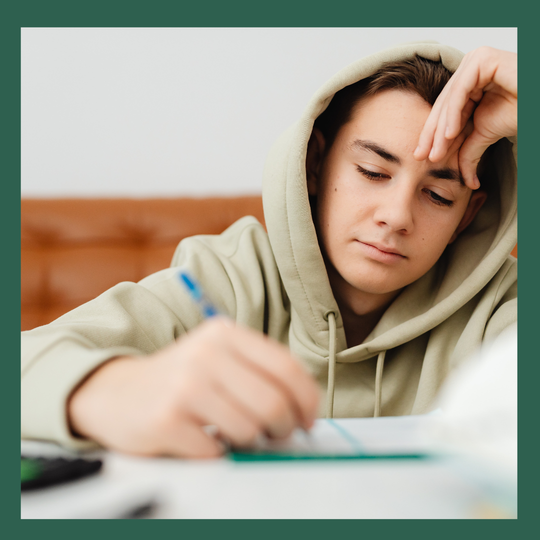 Workshop Replay Image (7).png