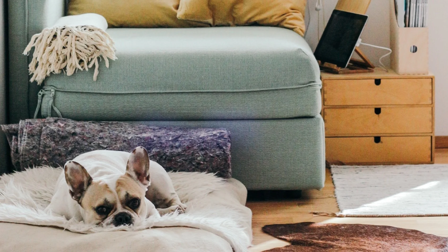 Using boundaries for better sleep