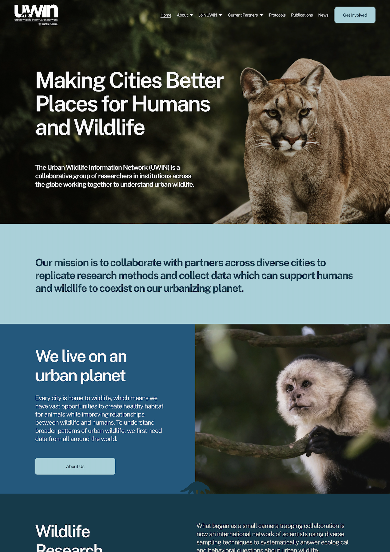 nonprofit website built on Squarepace for a team of researchesr, featuring blue colours, and impactful wildlife imagery