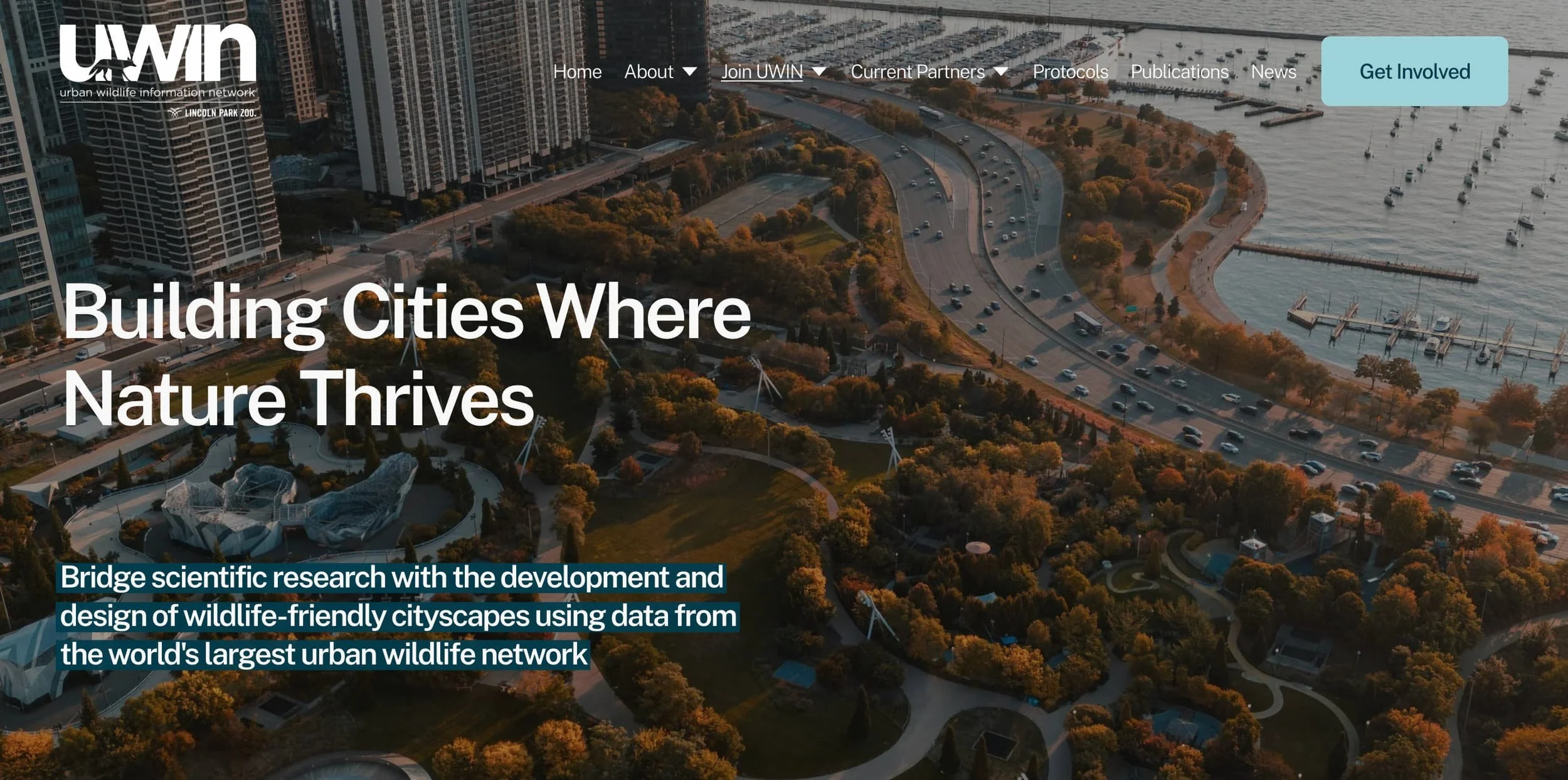 a landing page for a nonprofit organization built on squarespace featuring beautiful imagery