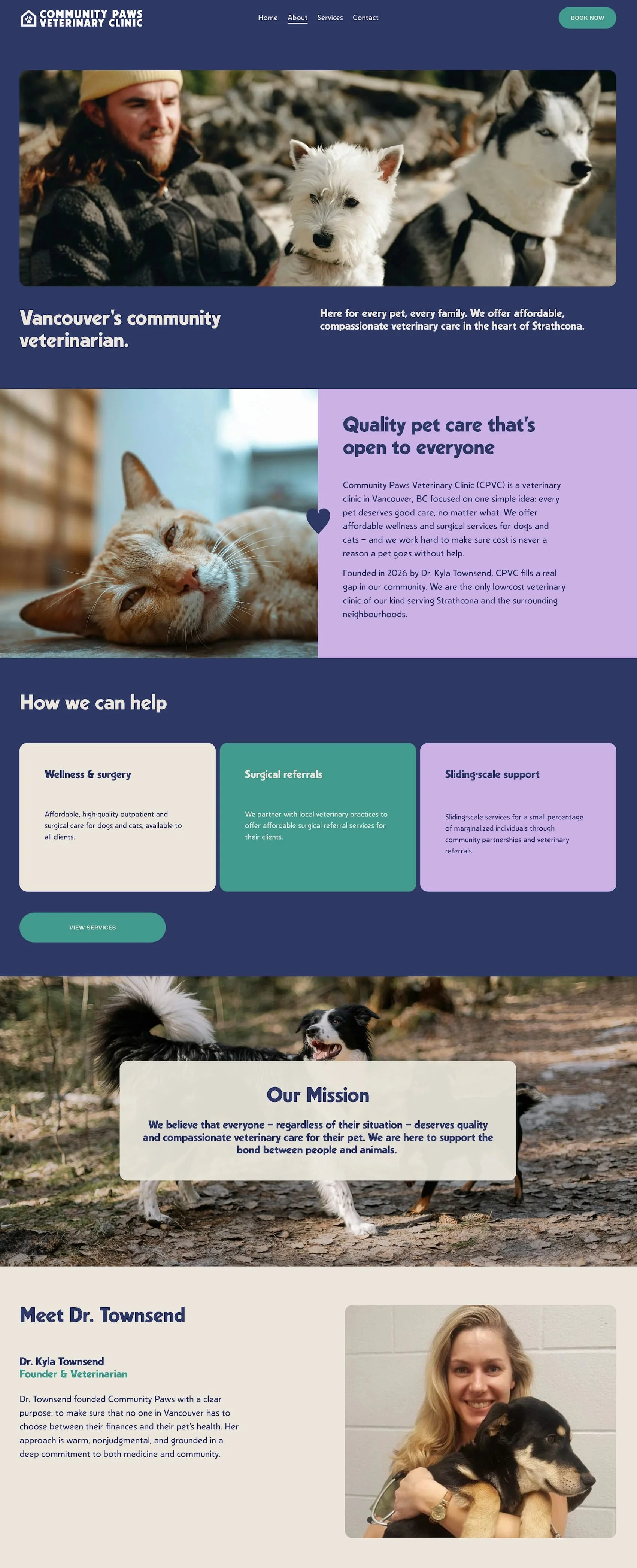 fun veterinary clinic branding with a playful colour palette, organic shapes and film feel photographs