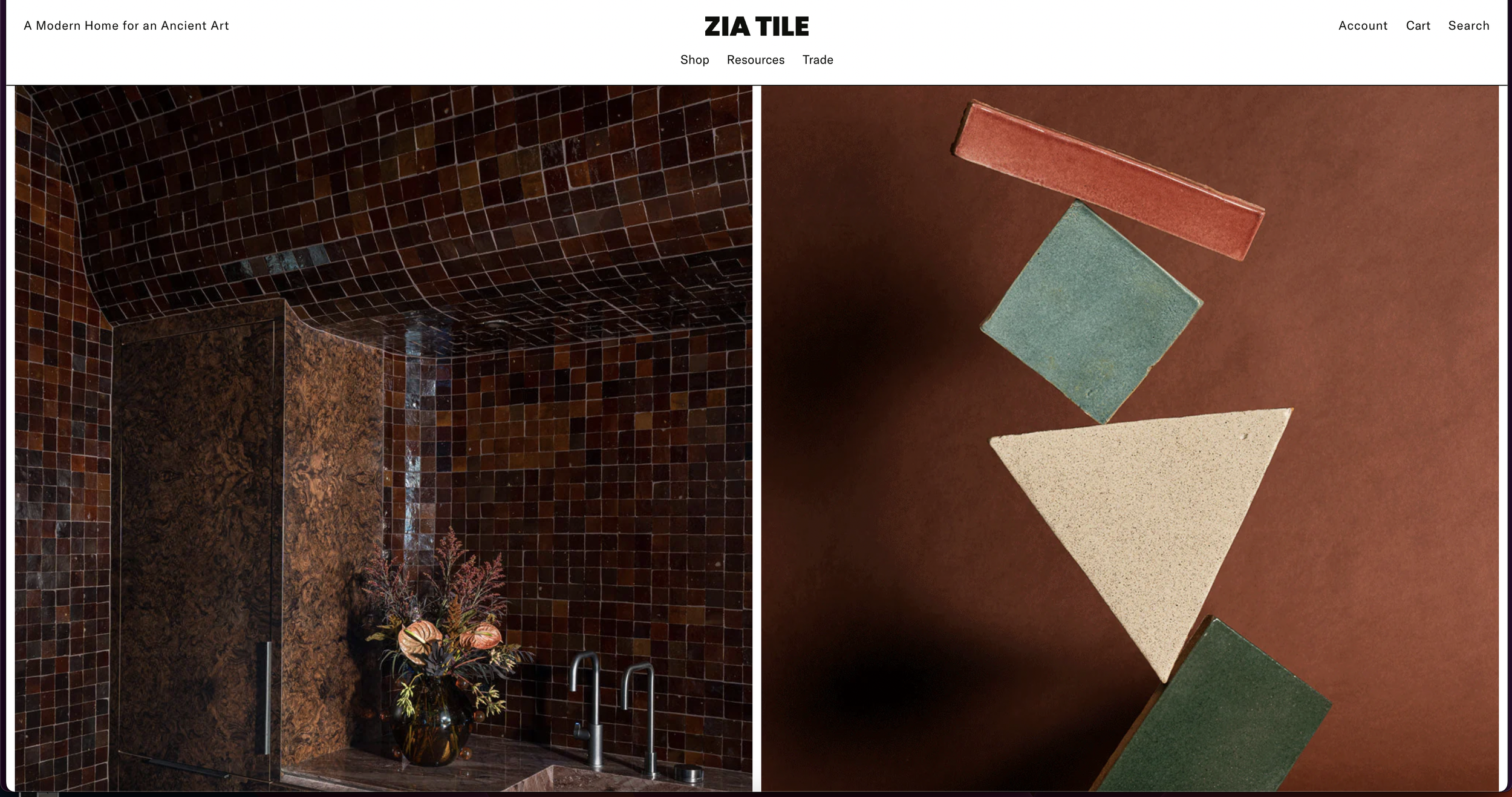 website showcasing large imagery and texture