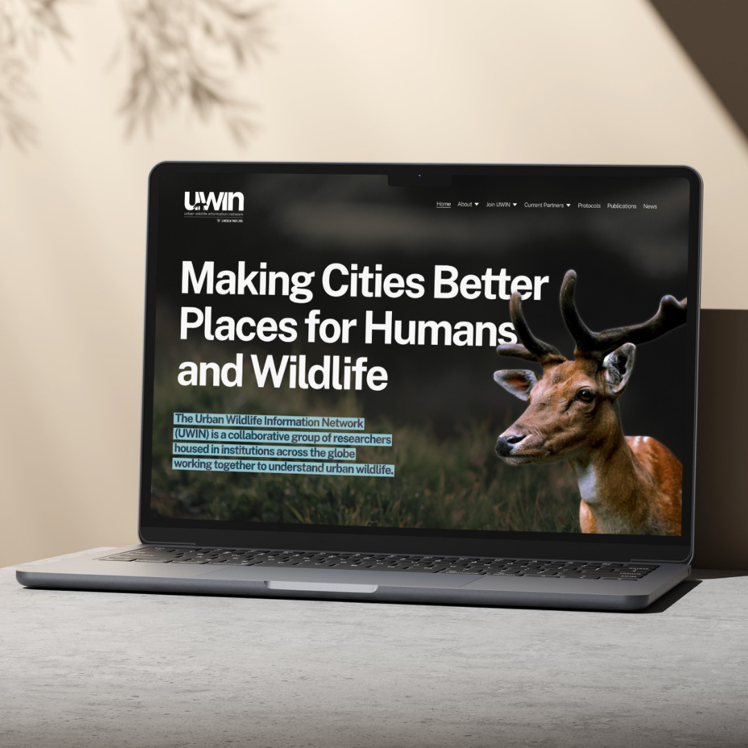 squarespace web design, content strategy and marketing strategy for a nonprofit organization