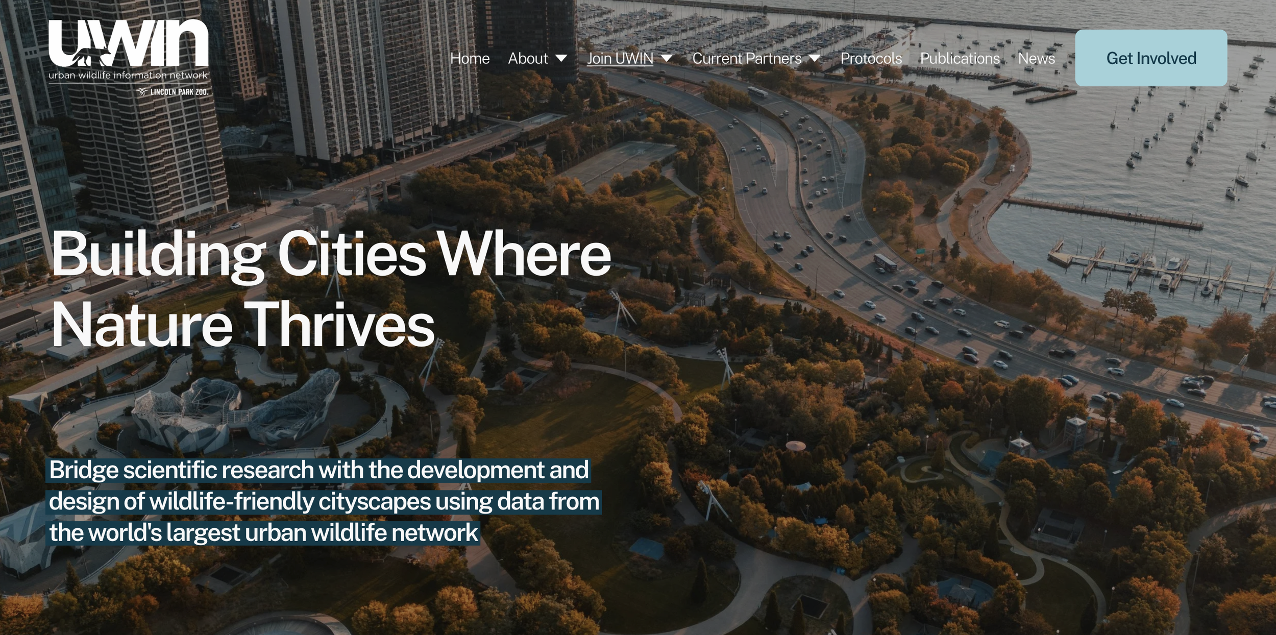 a landing page for a nonprofit organization built on squarespace featuring beautiful imagery