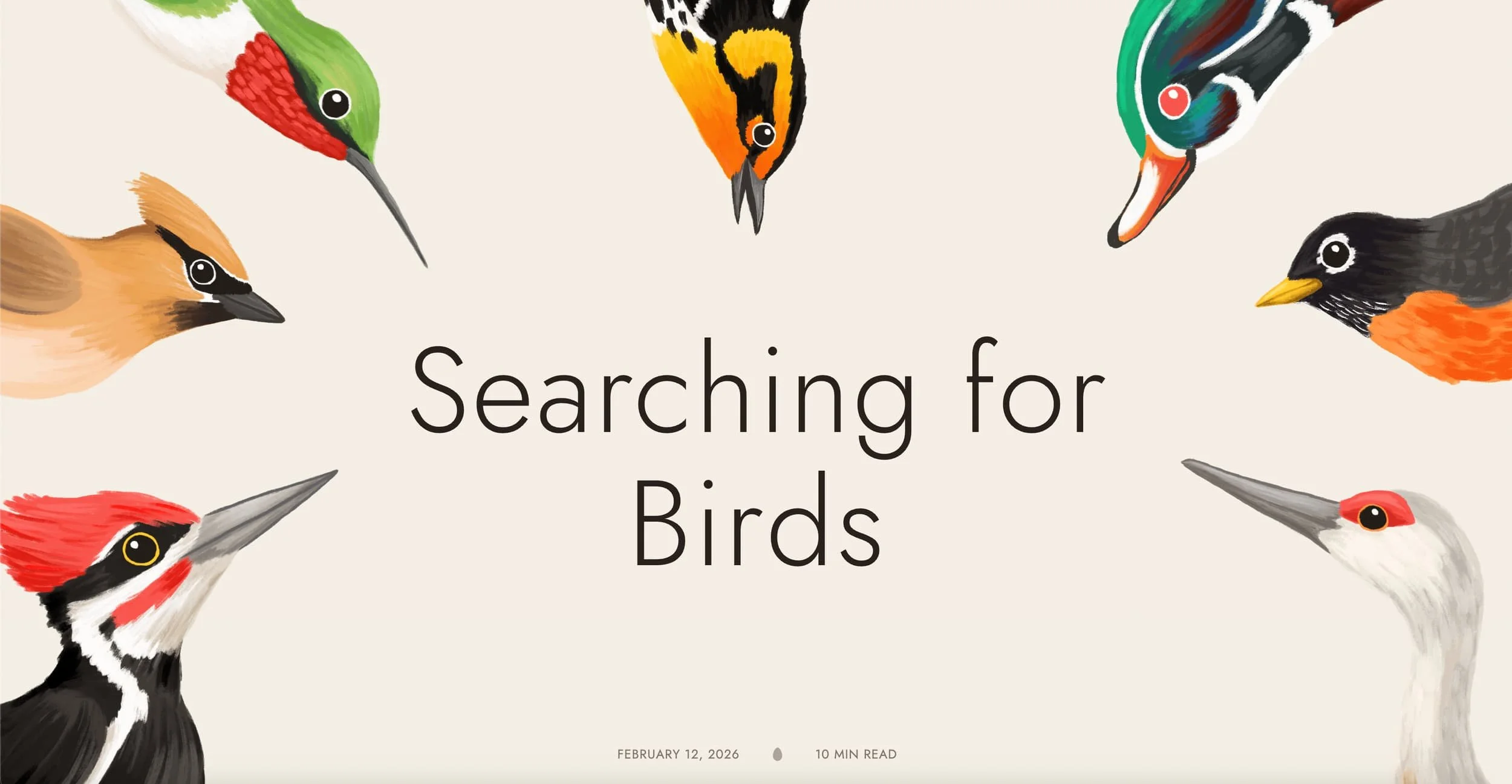 showcasing research with scrollytelling and unique data viz website design