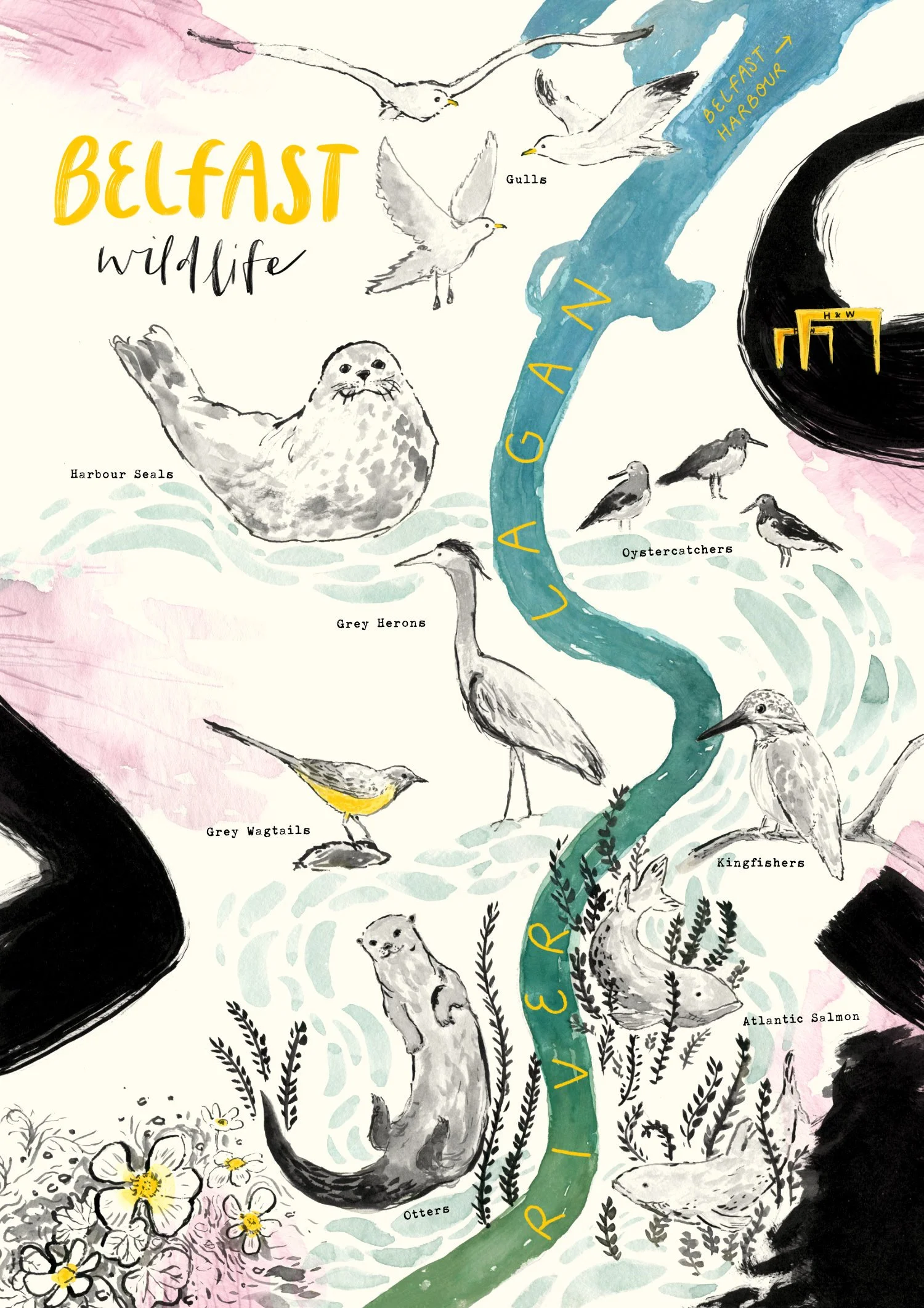 belfast wildlife web Jennifer Cooke.jpg