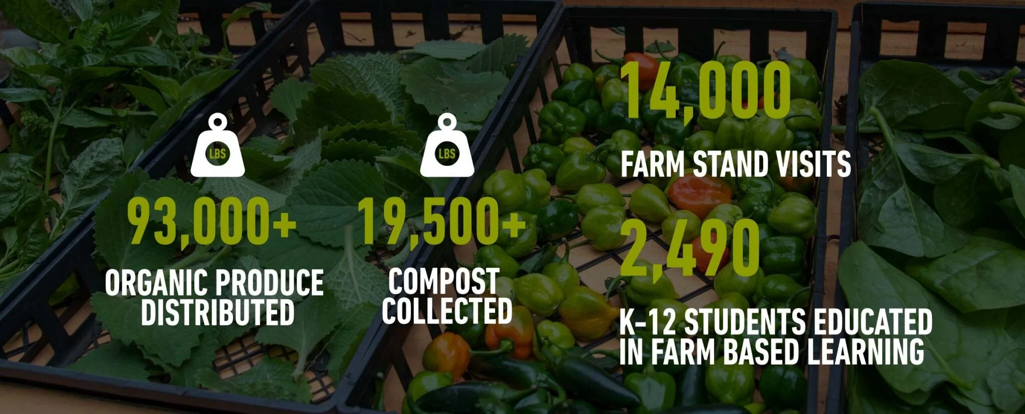 via Green City Force