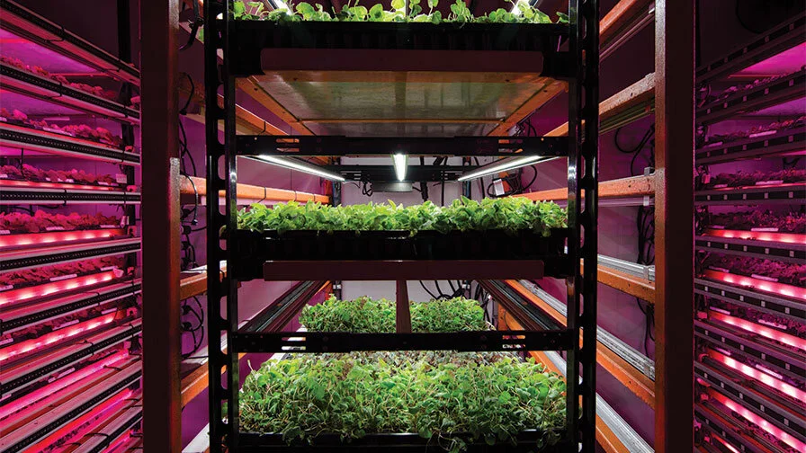 Battlefield-Farms-Vertical-Farming-feature.jpg
