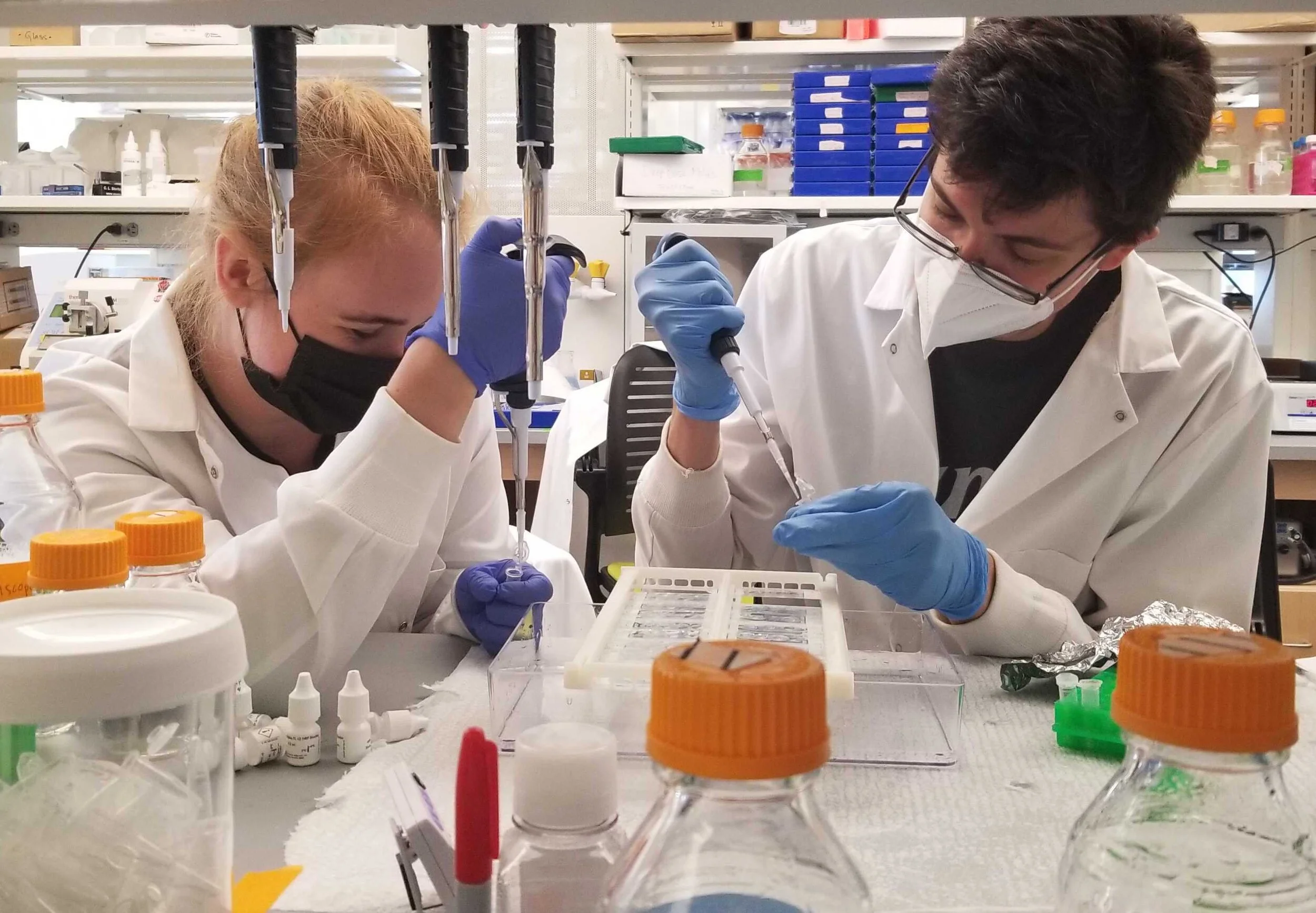 Lab Action Shot 20210610_123333.jpg