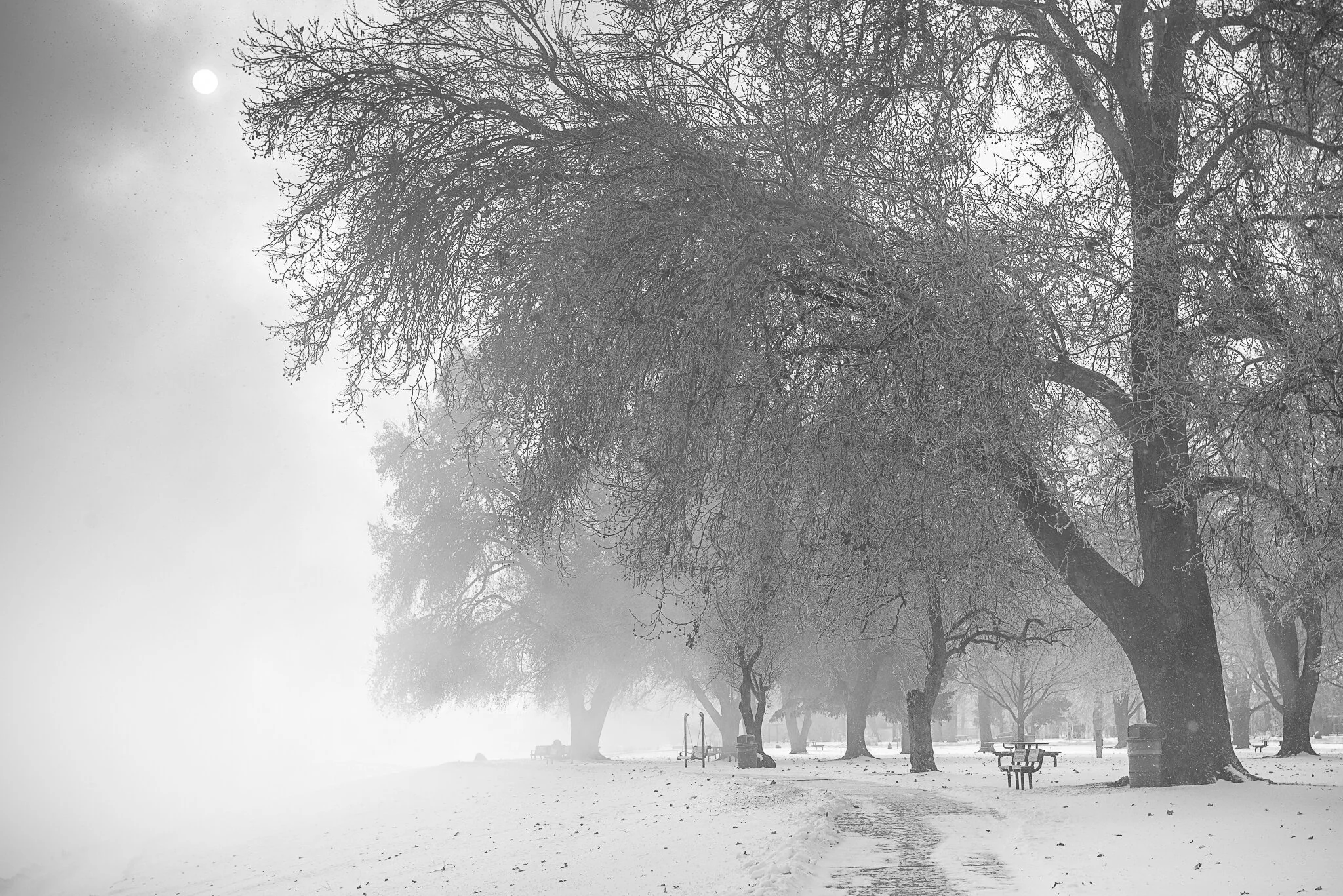 Cold Winter Morning