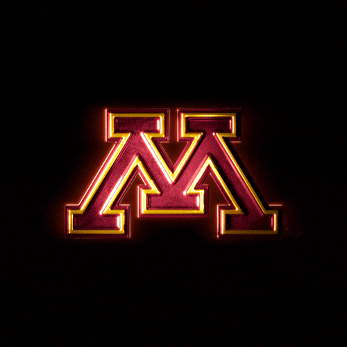 04_MINNESOTA_360.gif