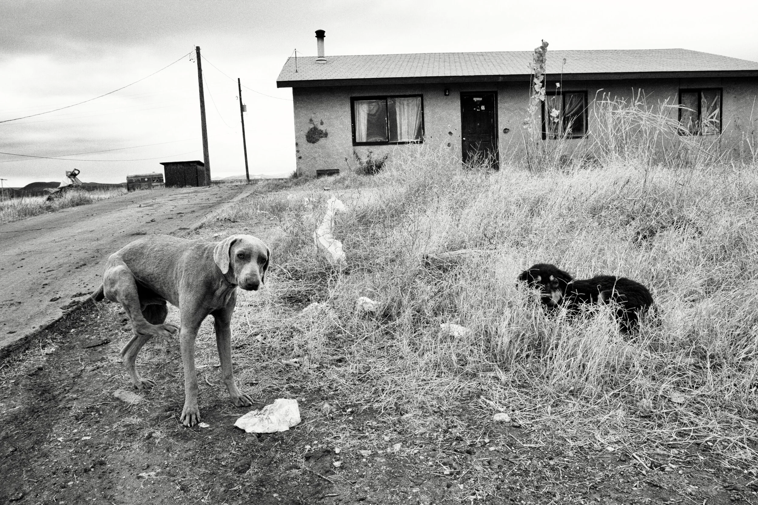 28_San Carlos_B&W.jpg