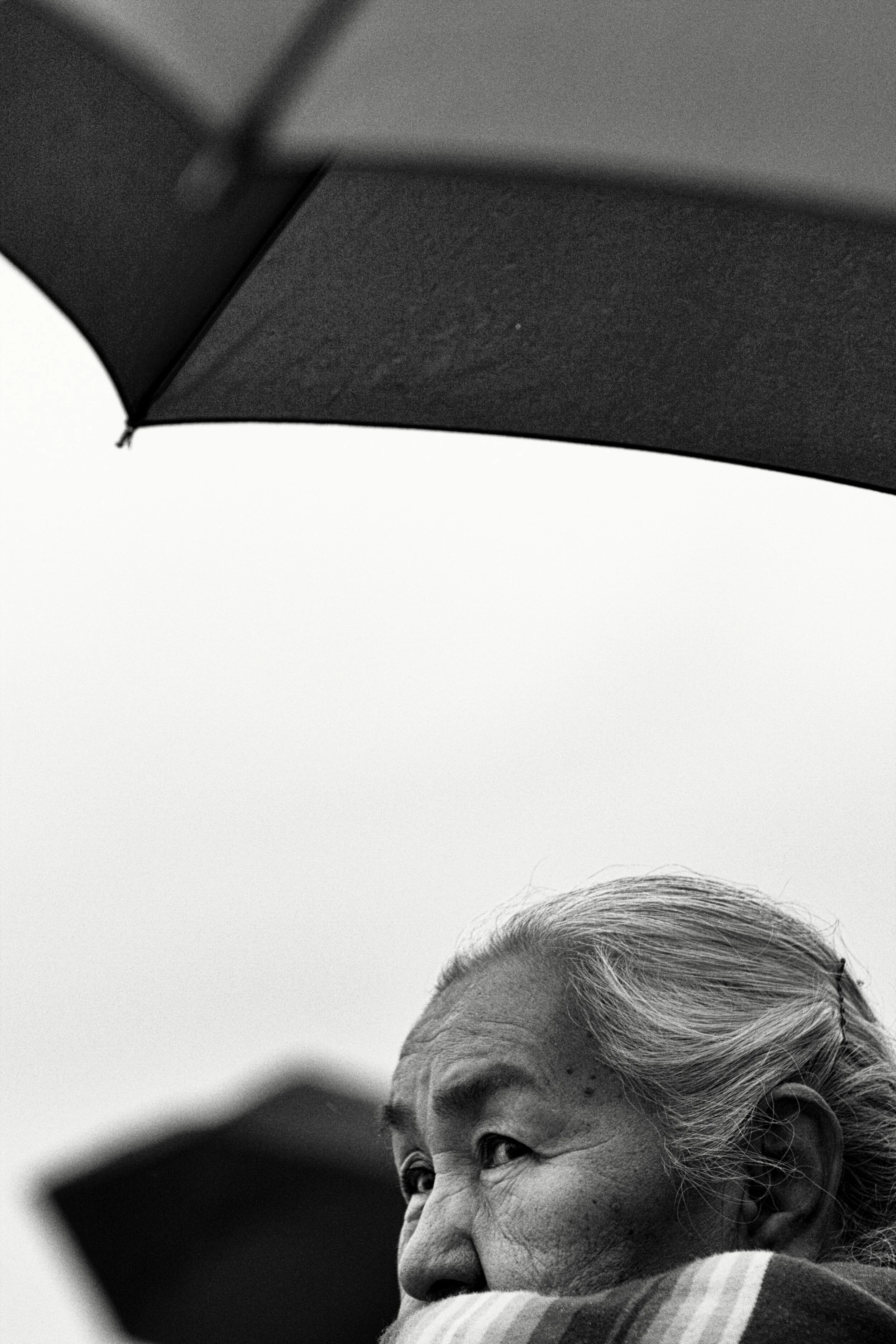 74_San Carlos_B&W.jpg